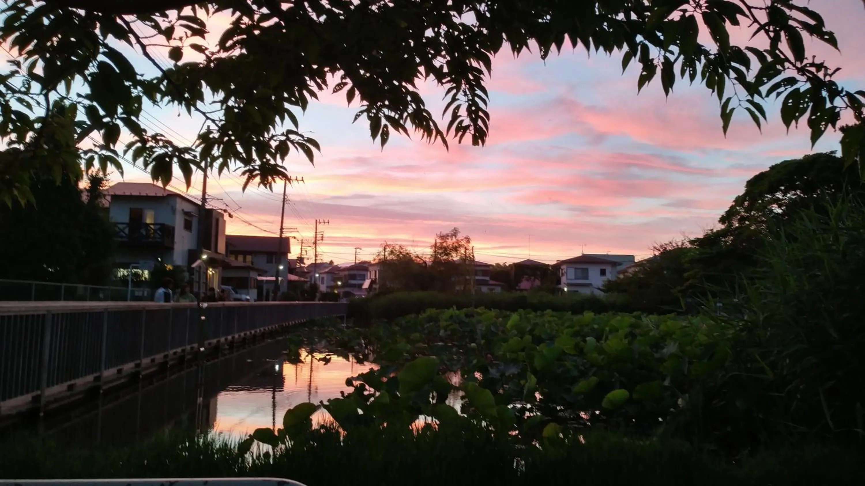 EMS Enoshima クラシックゲストハウス 寝室は個室 犬OK