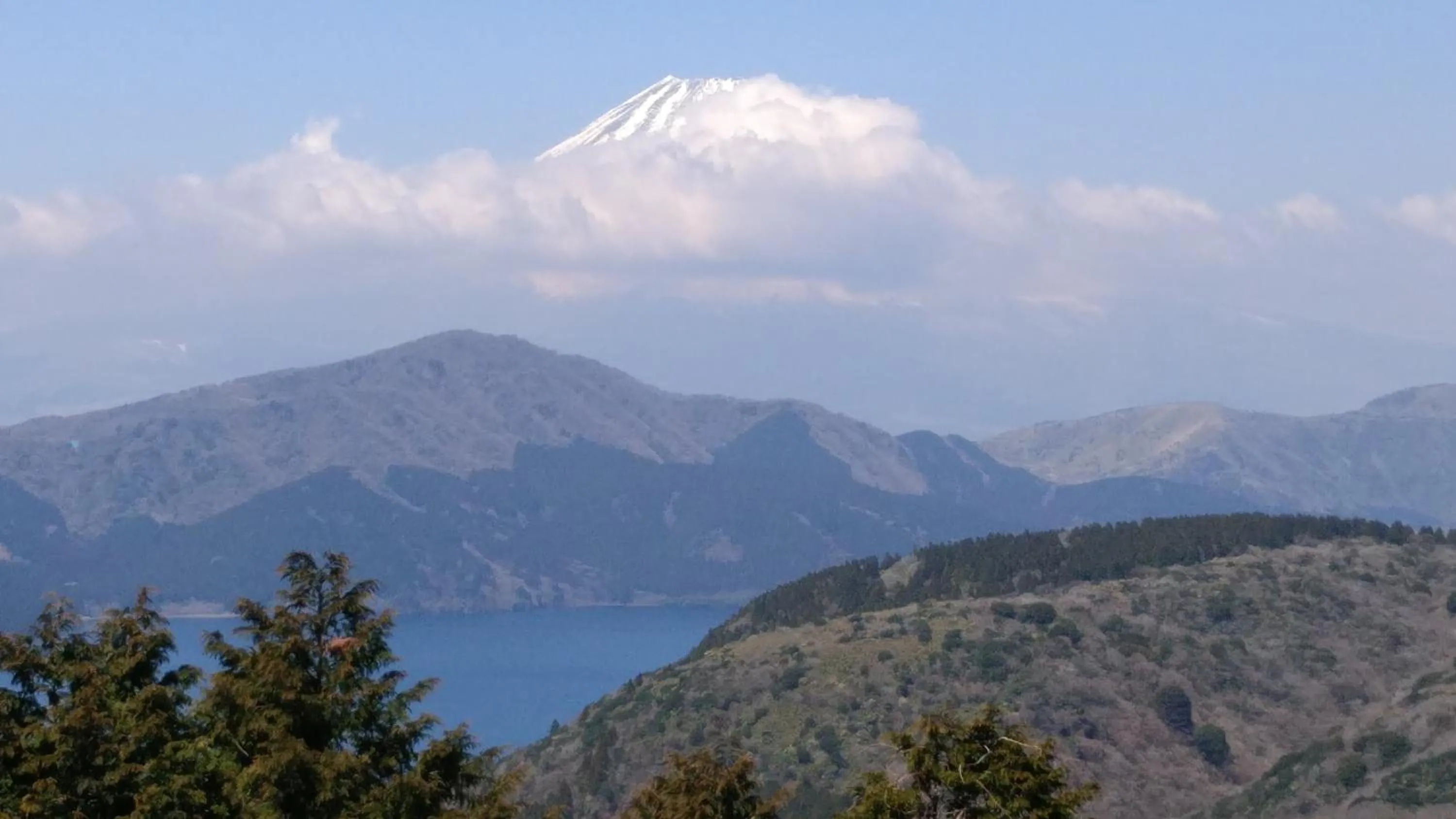 Nearby landmark in EMS Enoshima クラシックゲストハウス 寝室は個室 犬OK