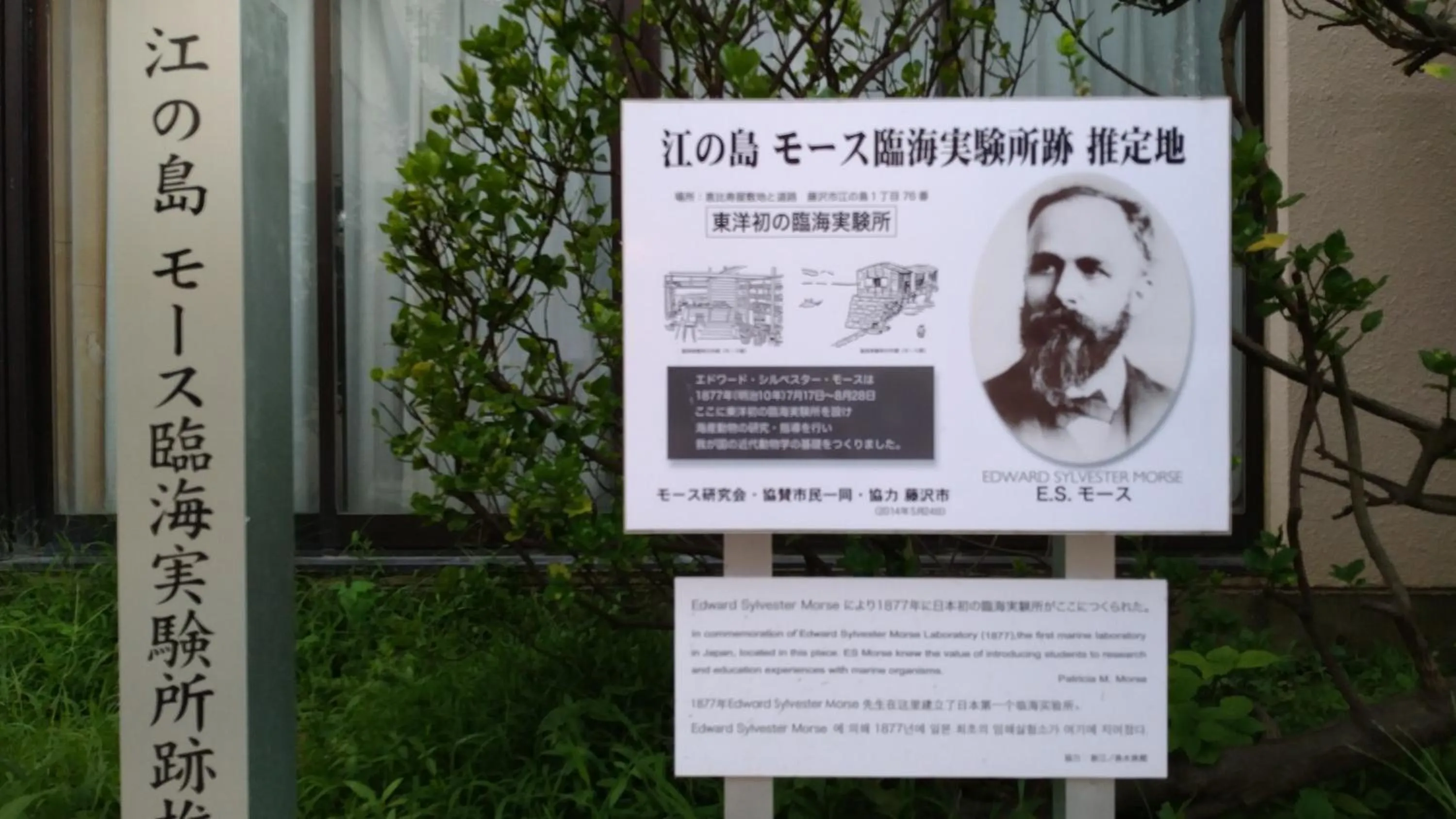 Off site in EMS Enoshima クラシックゲストハウス 寝室は個室 犬OK