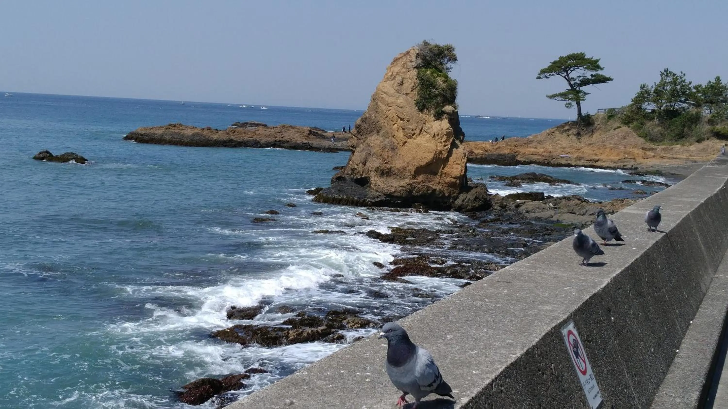 EMS Enoshima クラシックゲストハウス 寝室は個室 犬OK