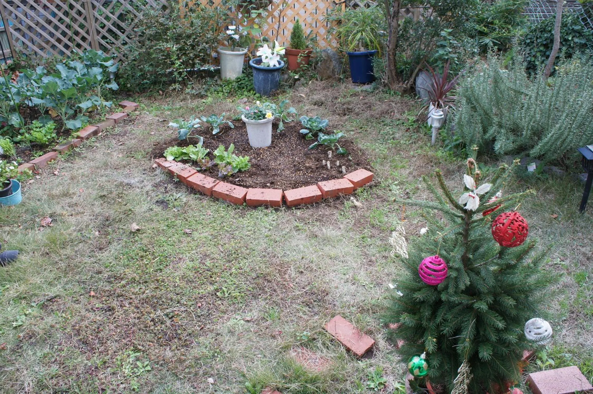 Garden view in EMS Enoshima クラシックゲストハウス 寝室は個室 犬OK