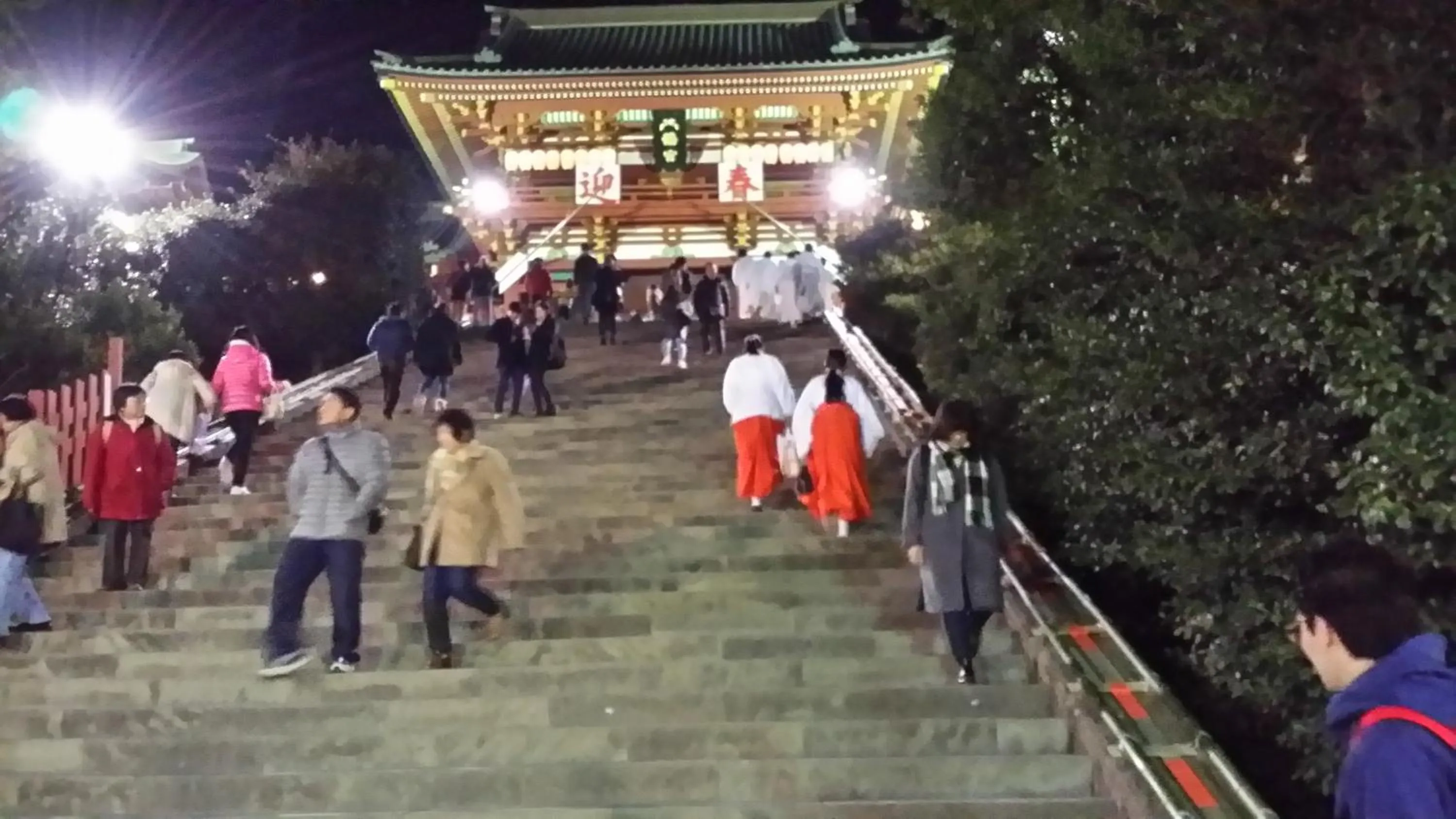 EMS Enoshima クラシックゲストハウス 寝室は個室 犬OK