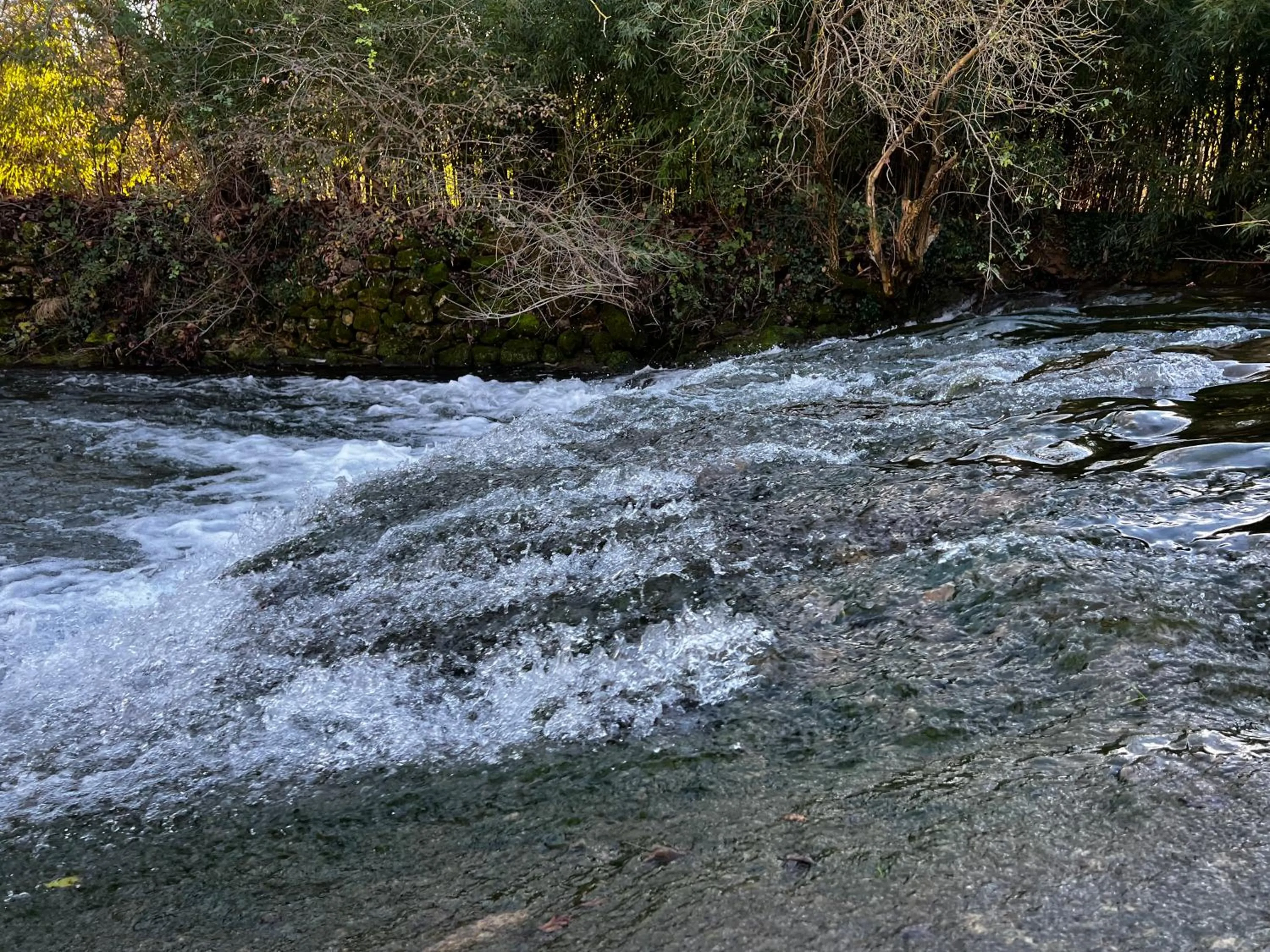 Natural landscape in Villa QUINISSOLE
