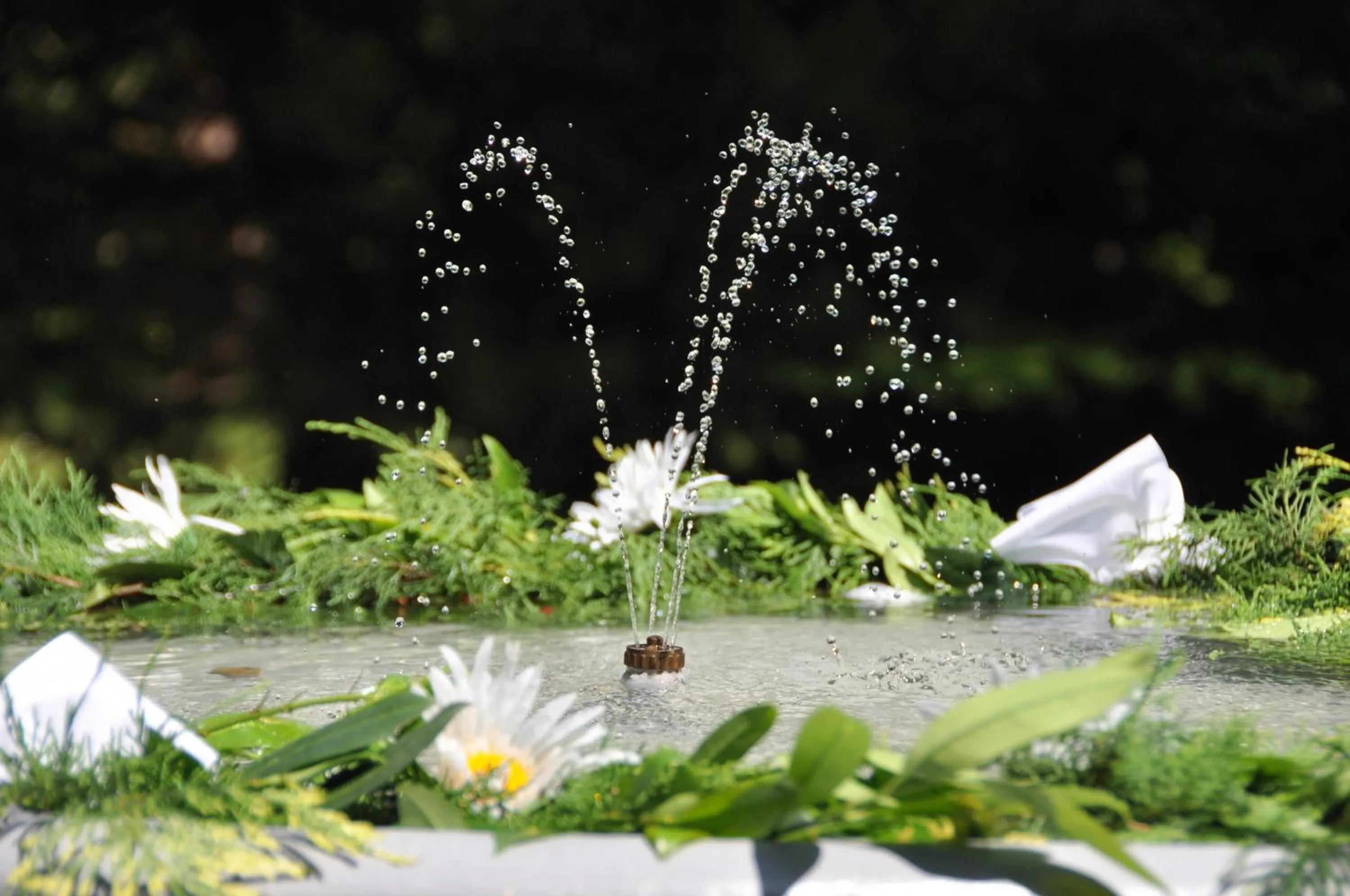 Neighbourhood in Ensana Spa Smrdáky