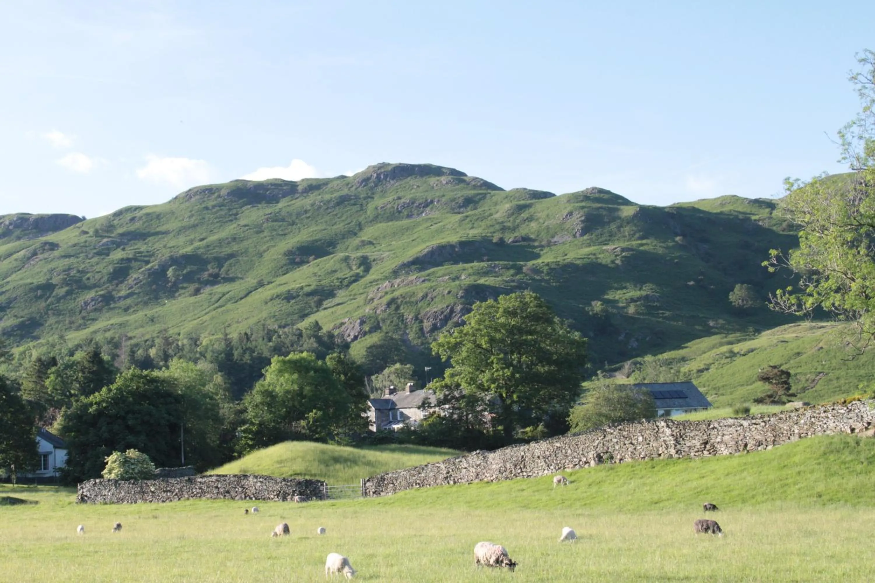 Natural landscape in The Lakes B and B