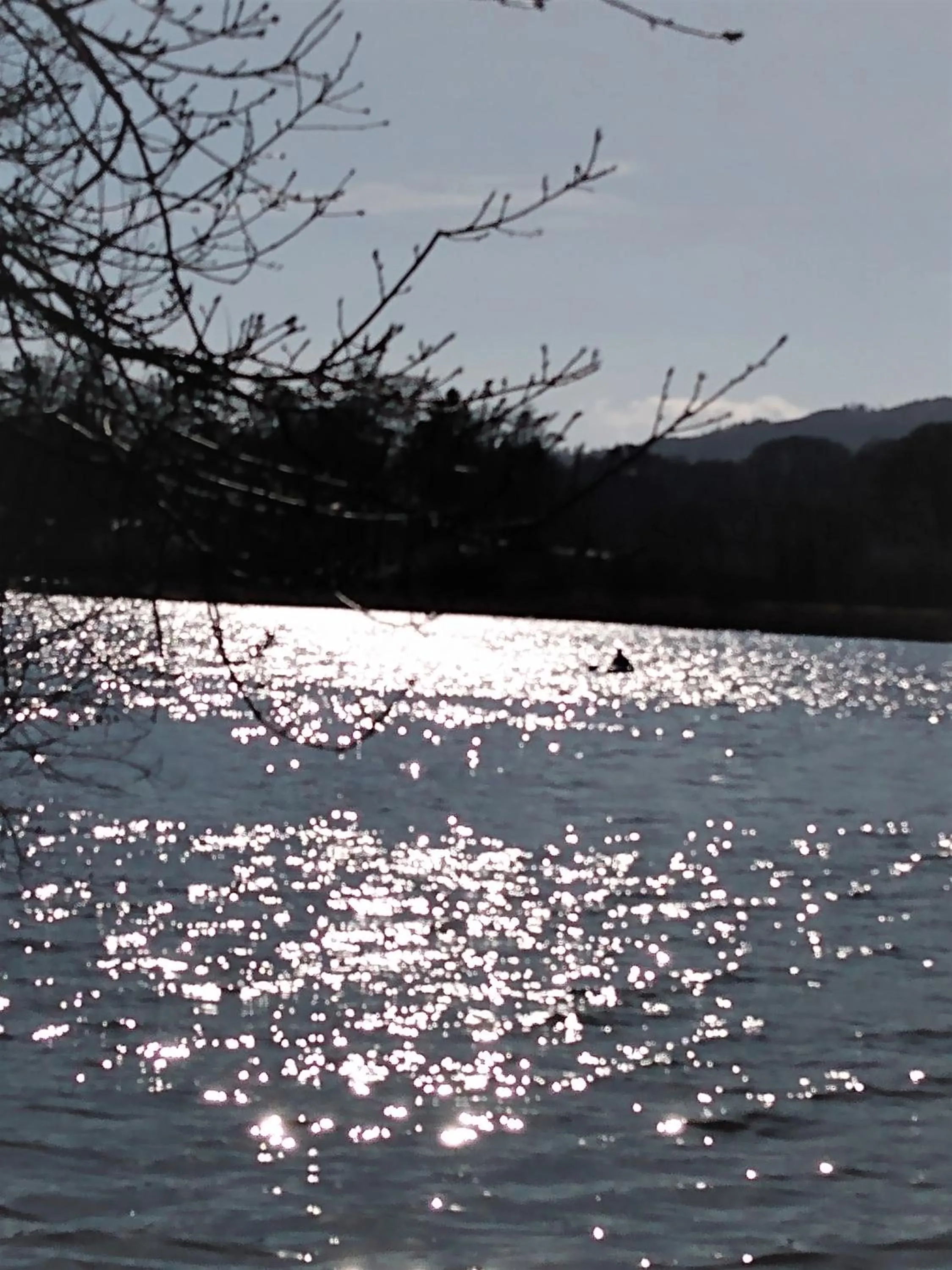 Location in The Lakes B and B