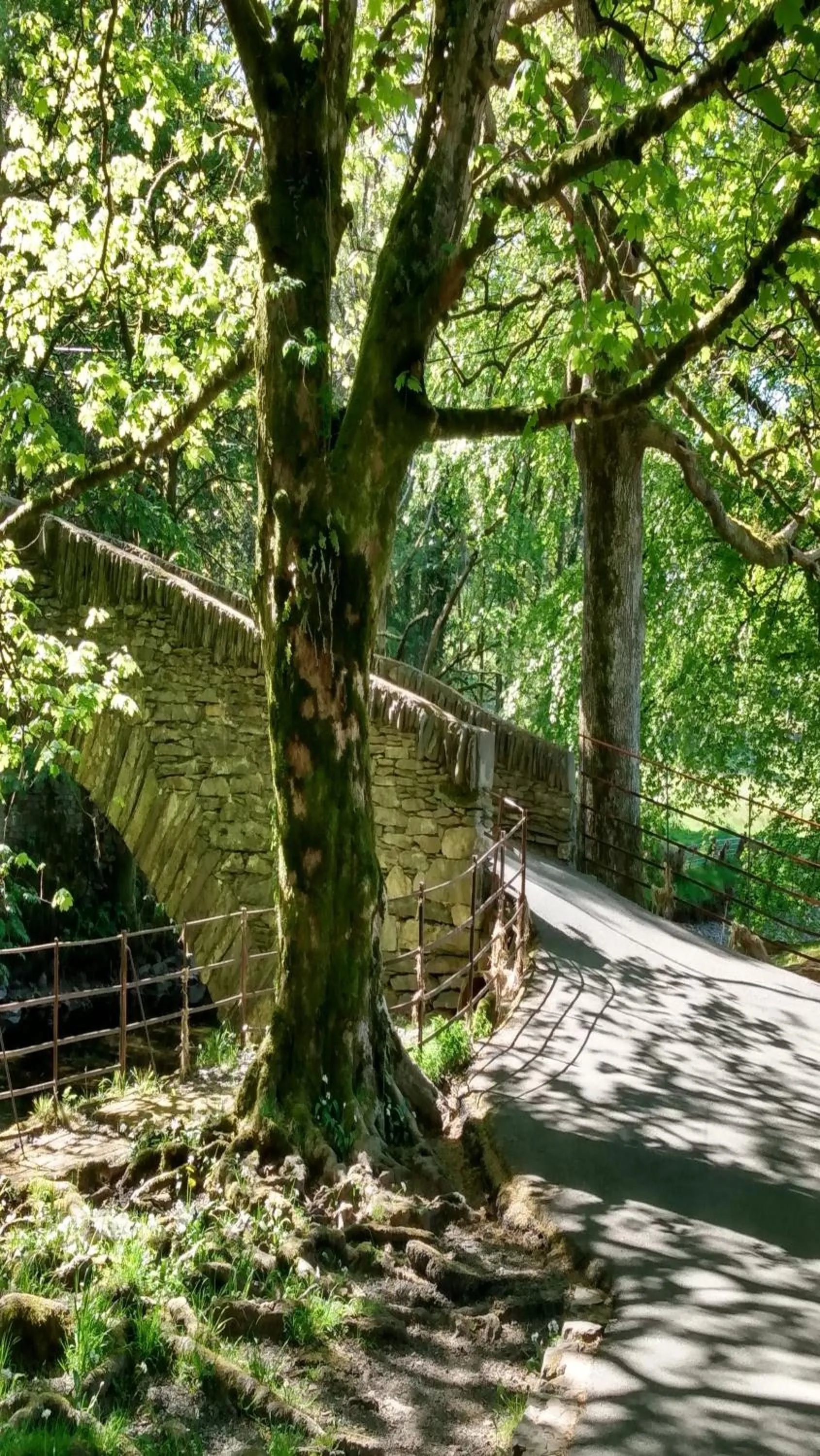 Autumn in The Lakes B and B