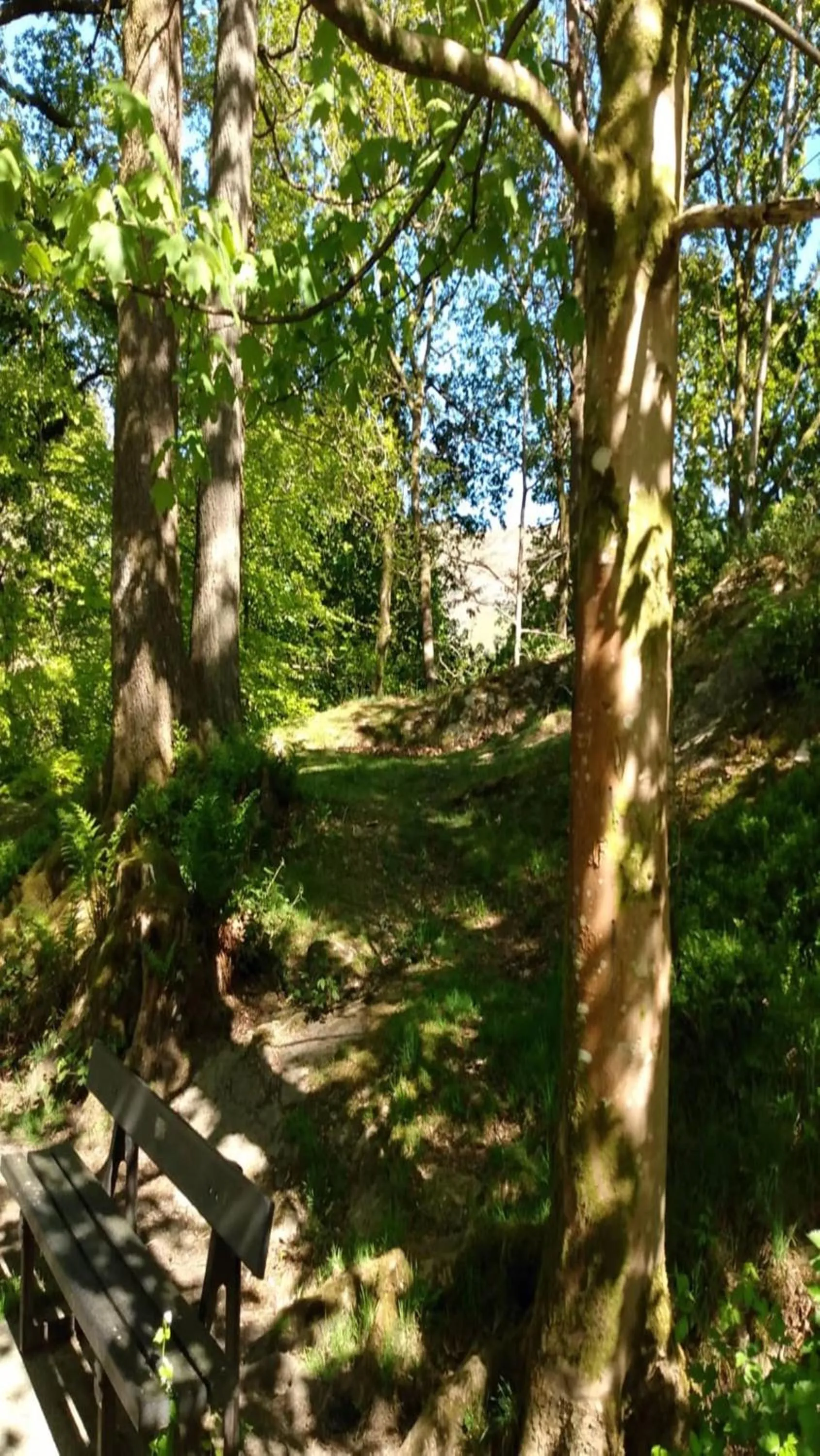 Natural landscape in The Lakes B and B