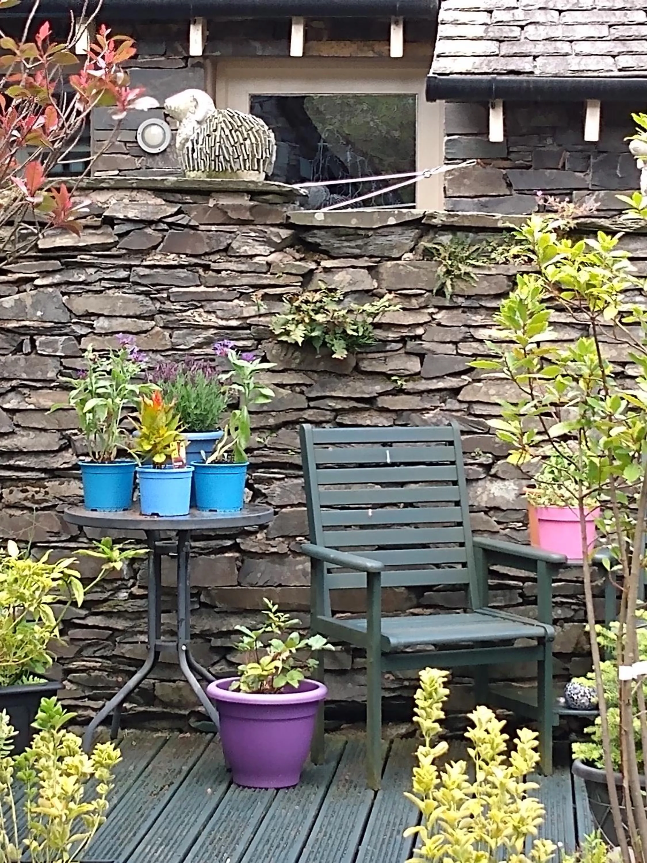 Garden in The Lakes B and B