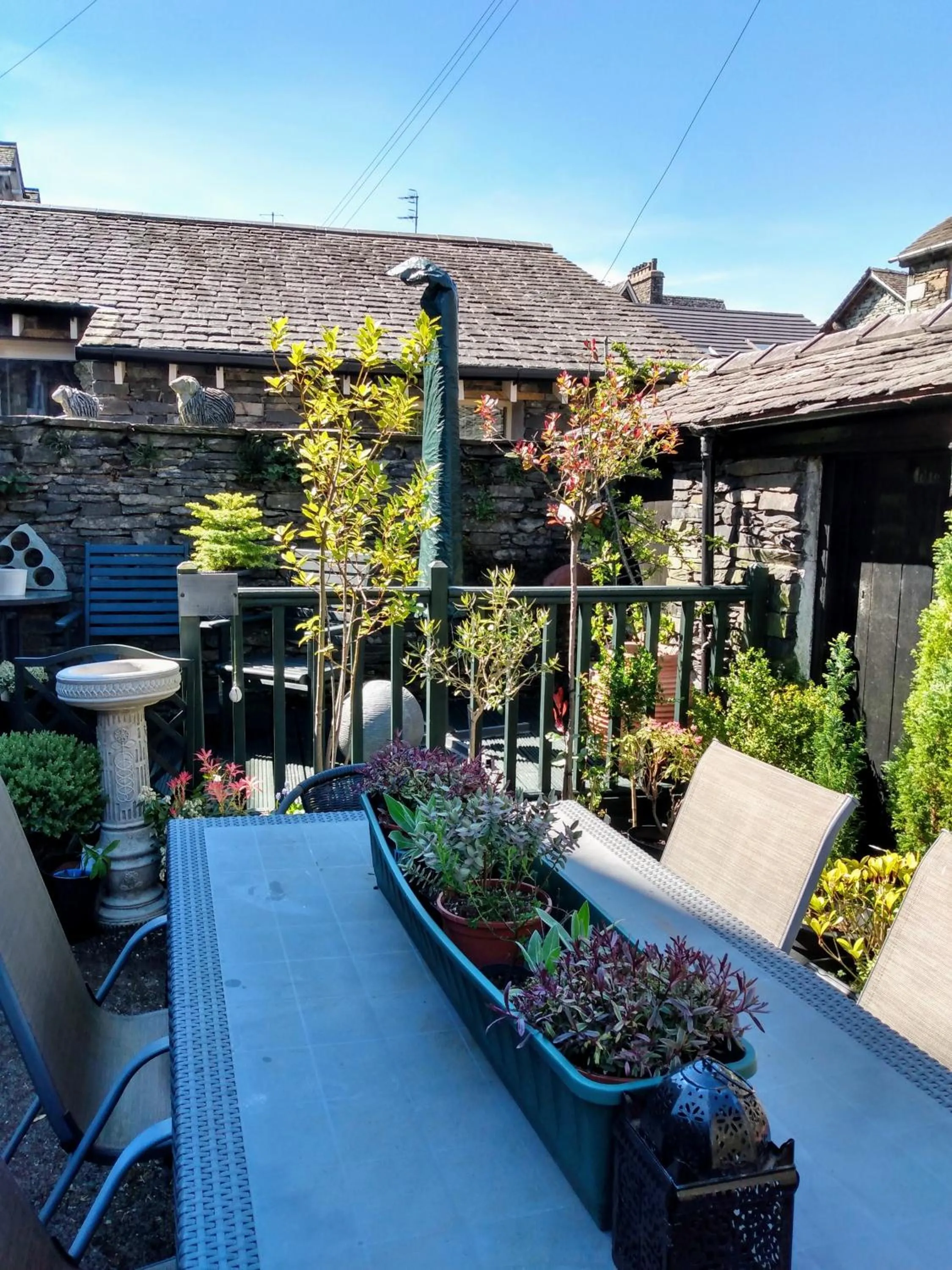 Garden in The Lakes B and B