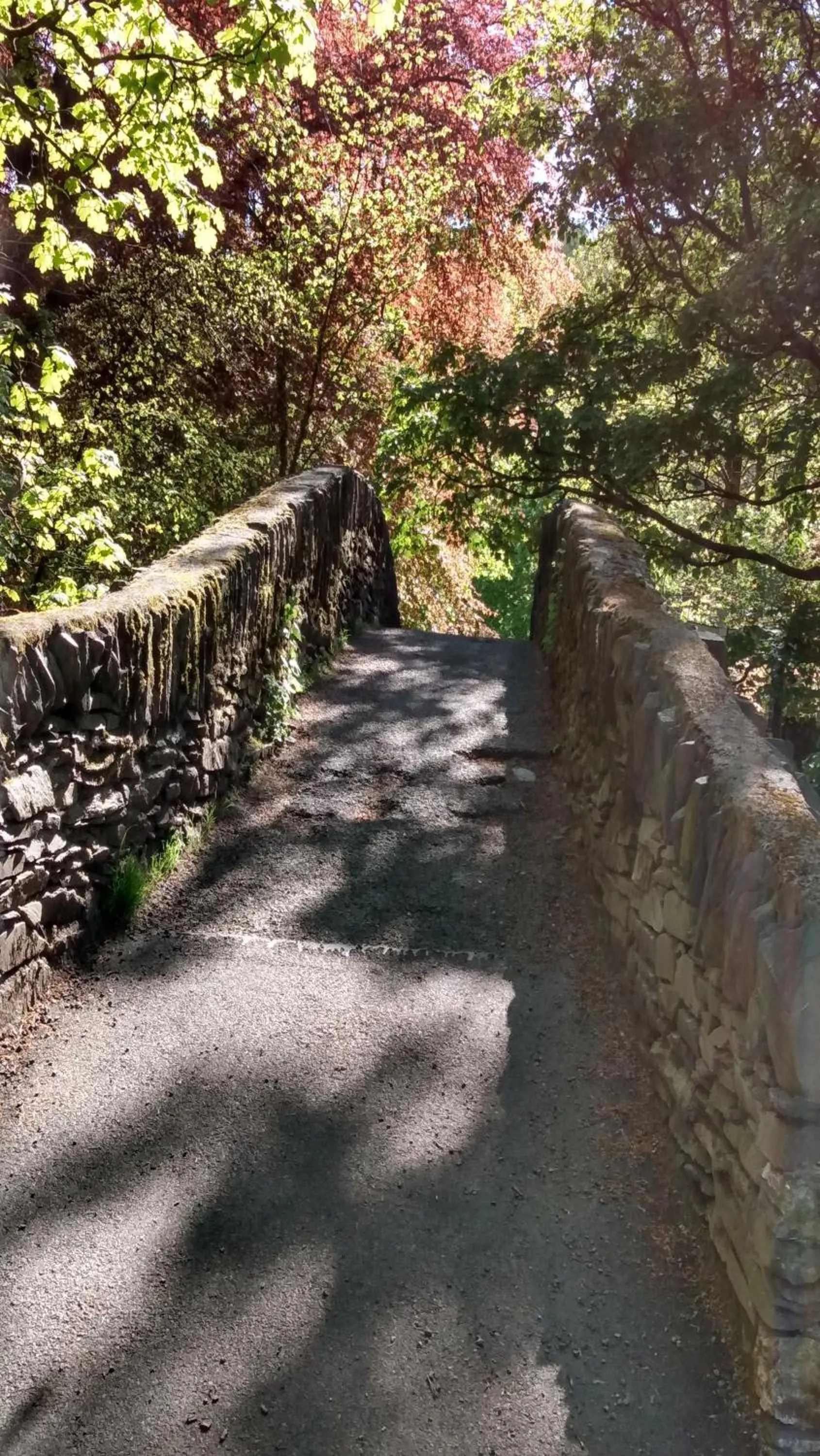 Day in The Lakes B and B