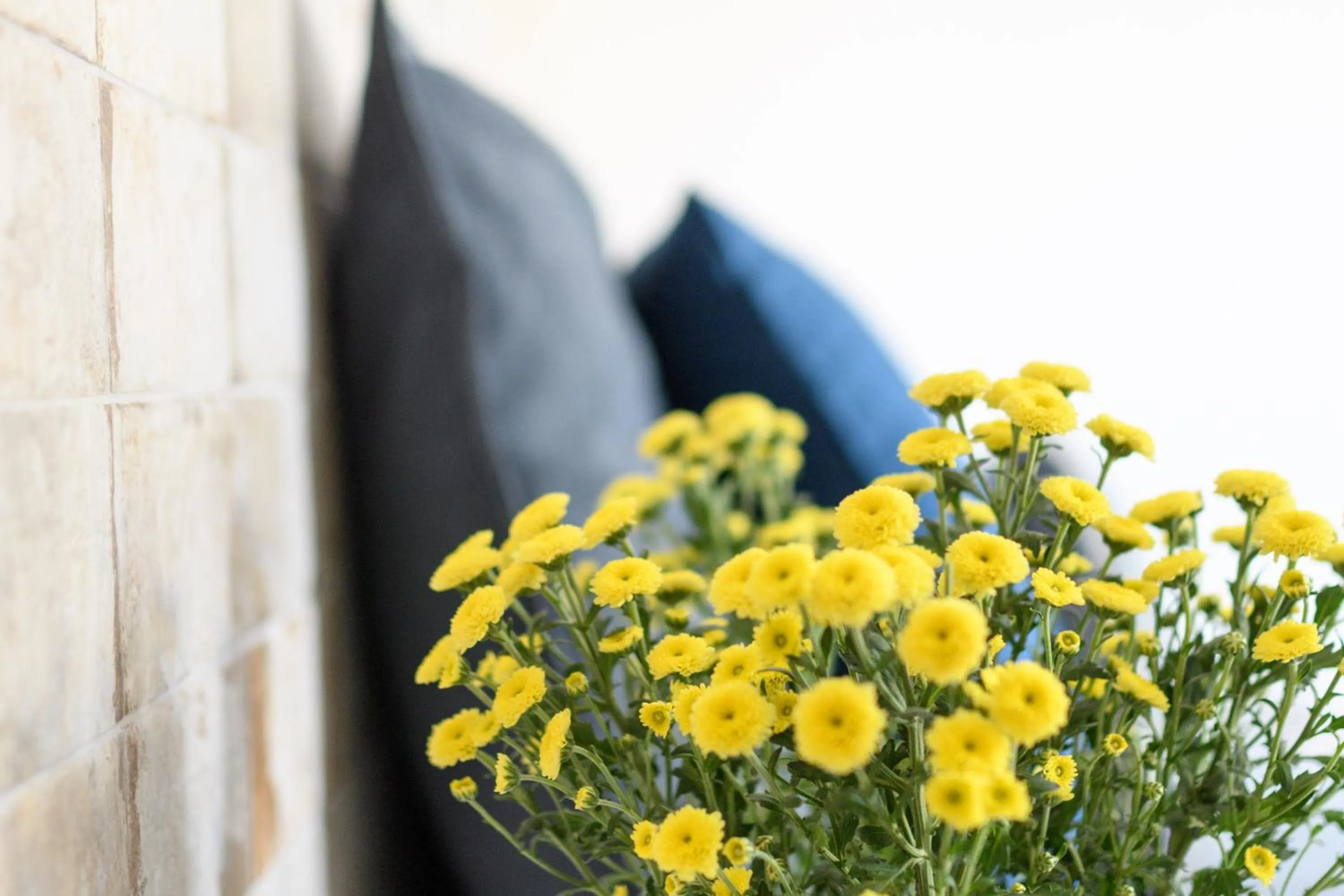 Living room in Elia Residences Santorini