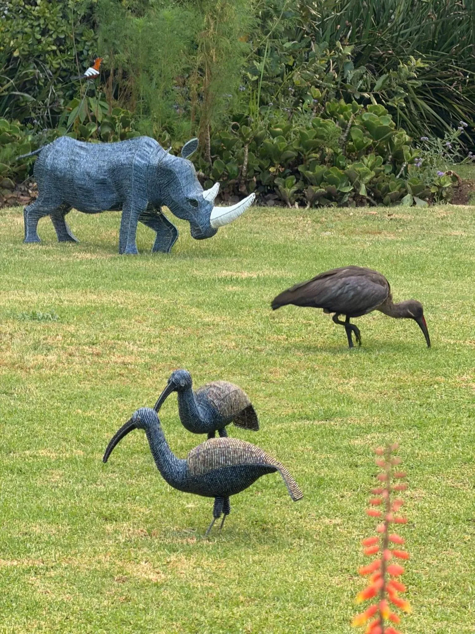 Garden in Highgrove Guesthouse Morningside Sandton