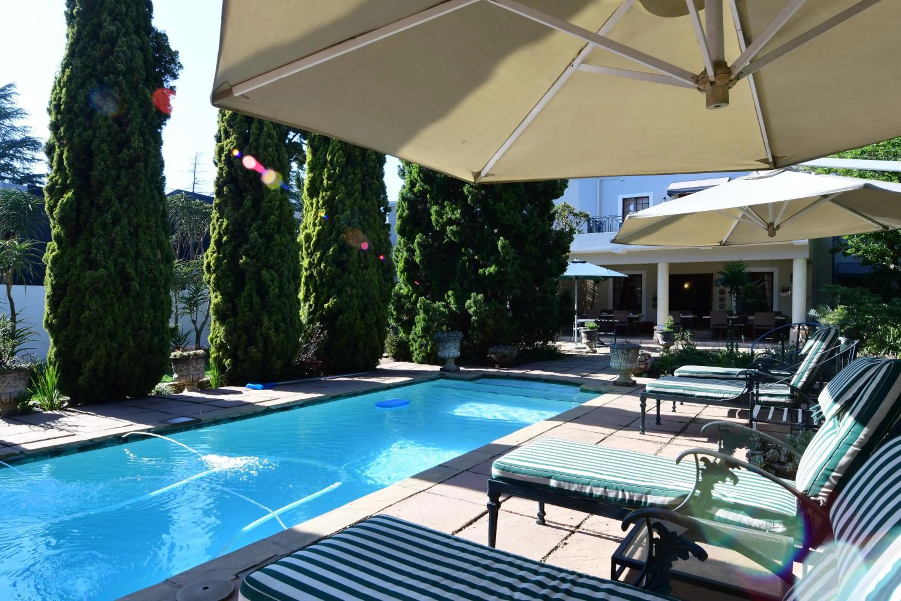 Swimming pool in Highgrove Guesthouse Morningside Sandton