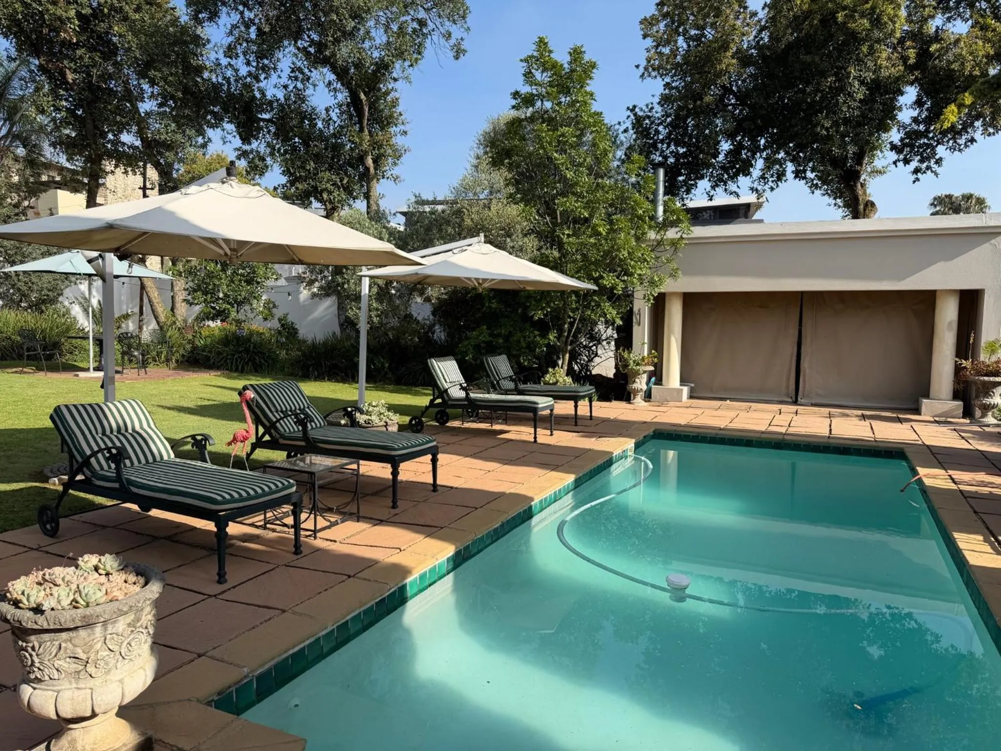 Garden in Highgrove Guesthouse Morningside Sandton