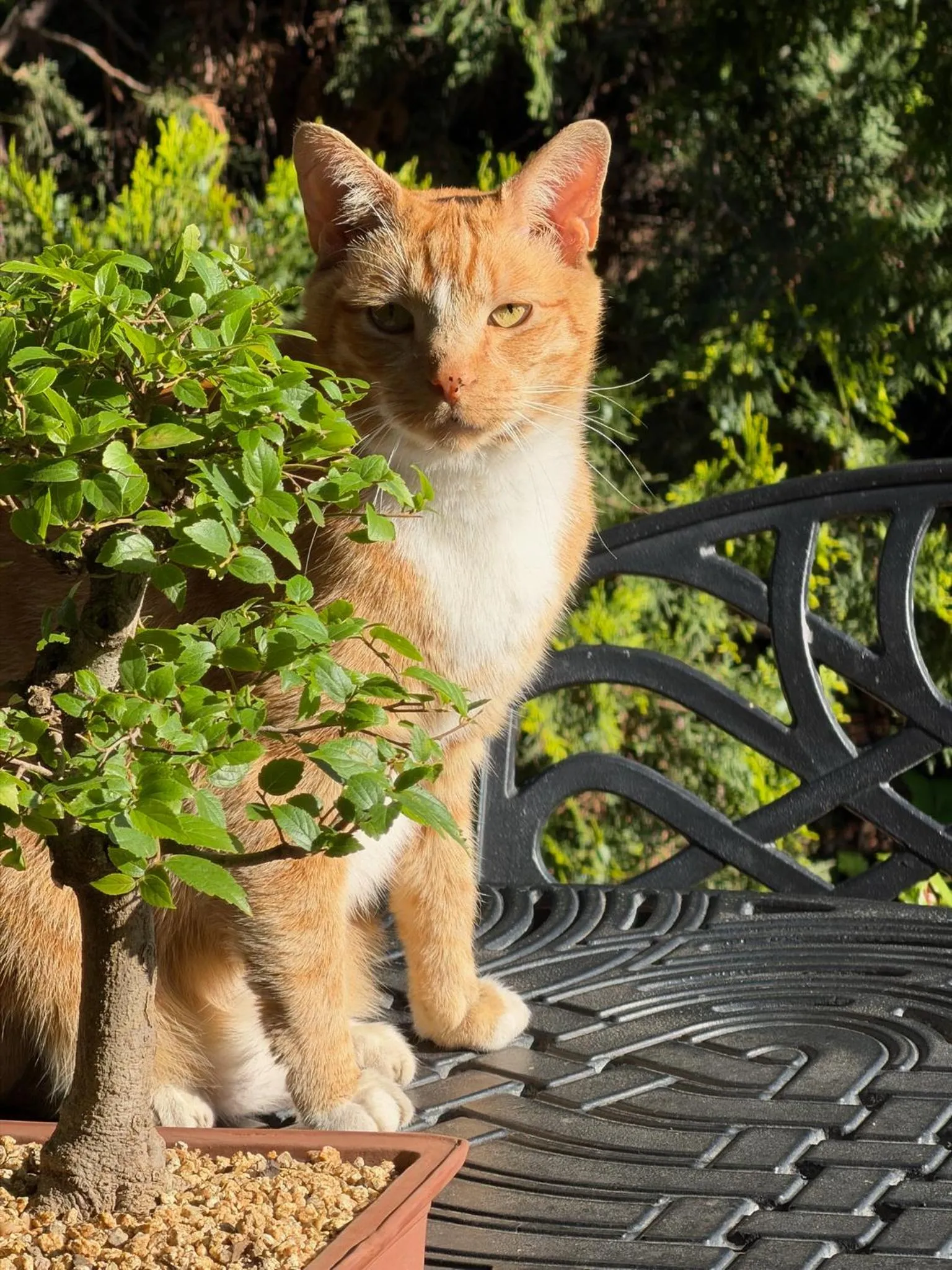 Staff in Highgrove Guesthouse Morningside Sandton