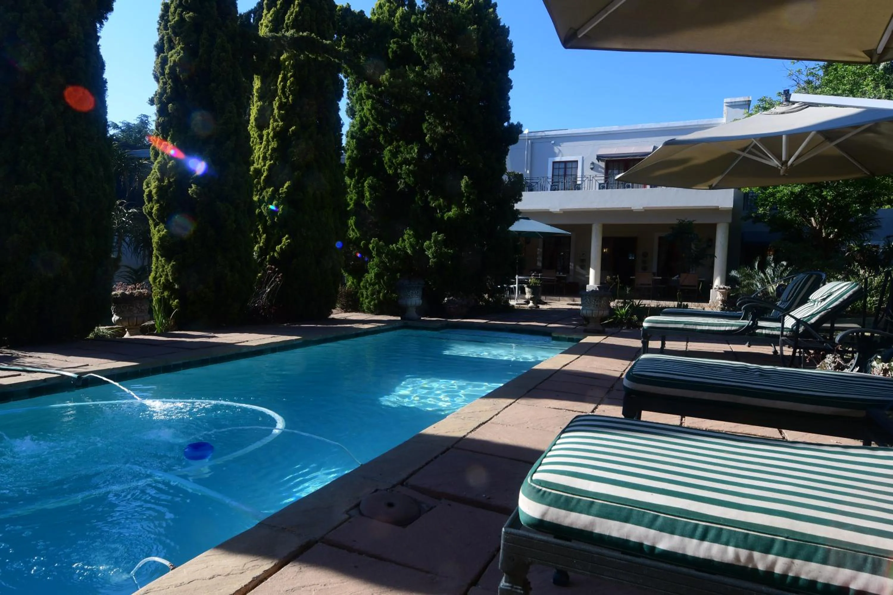 Garden in Highgrove Guesthouse Morningside Sandton