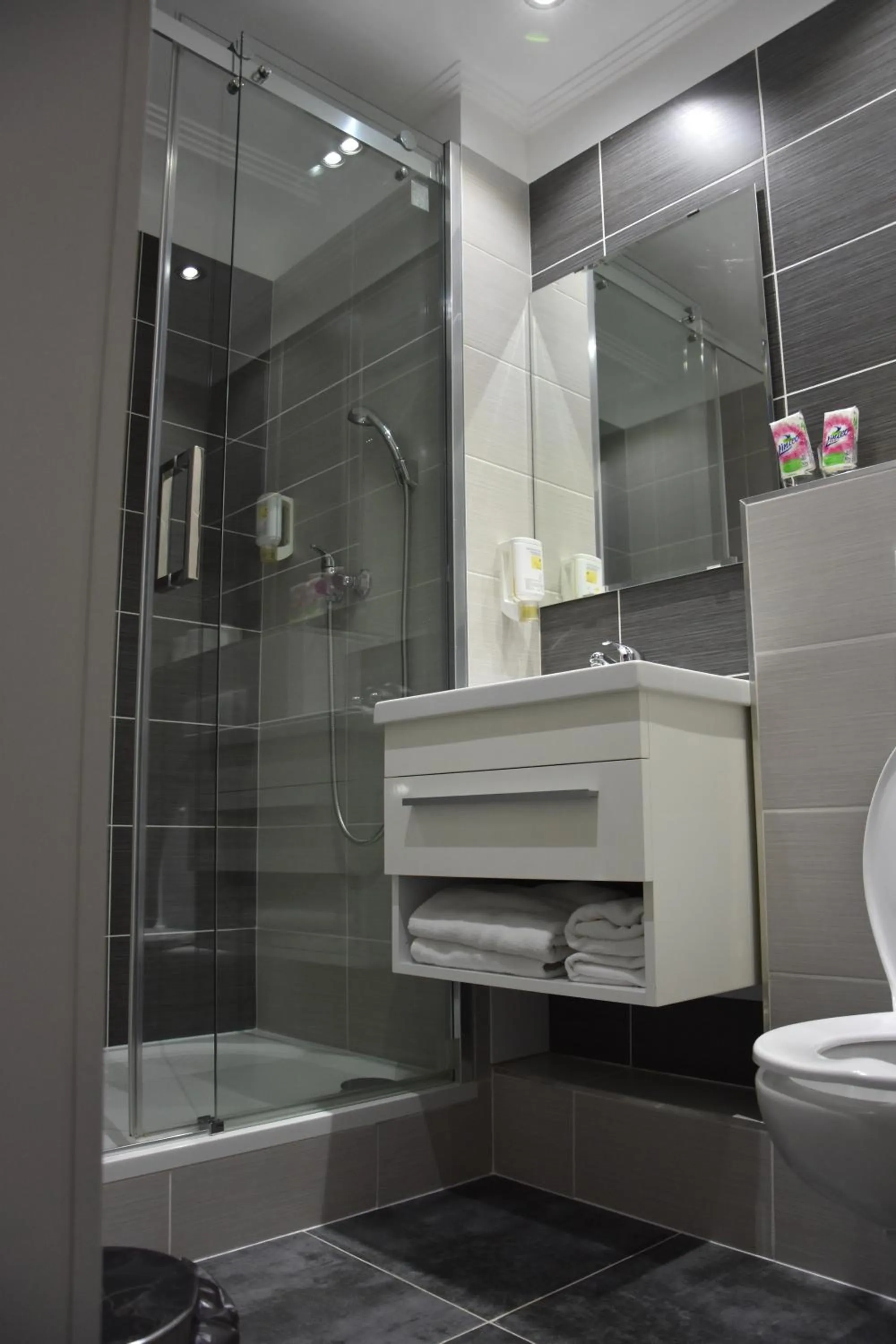 Shower in Hotel U Dvou medvídků