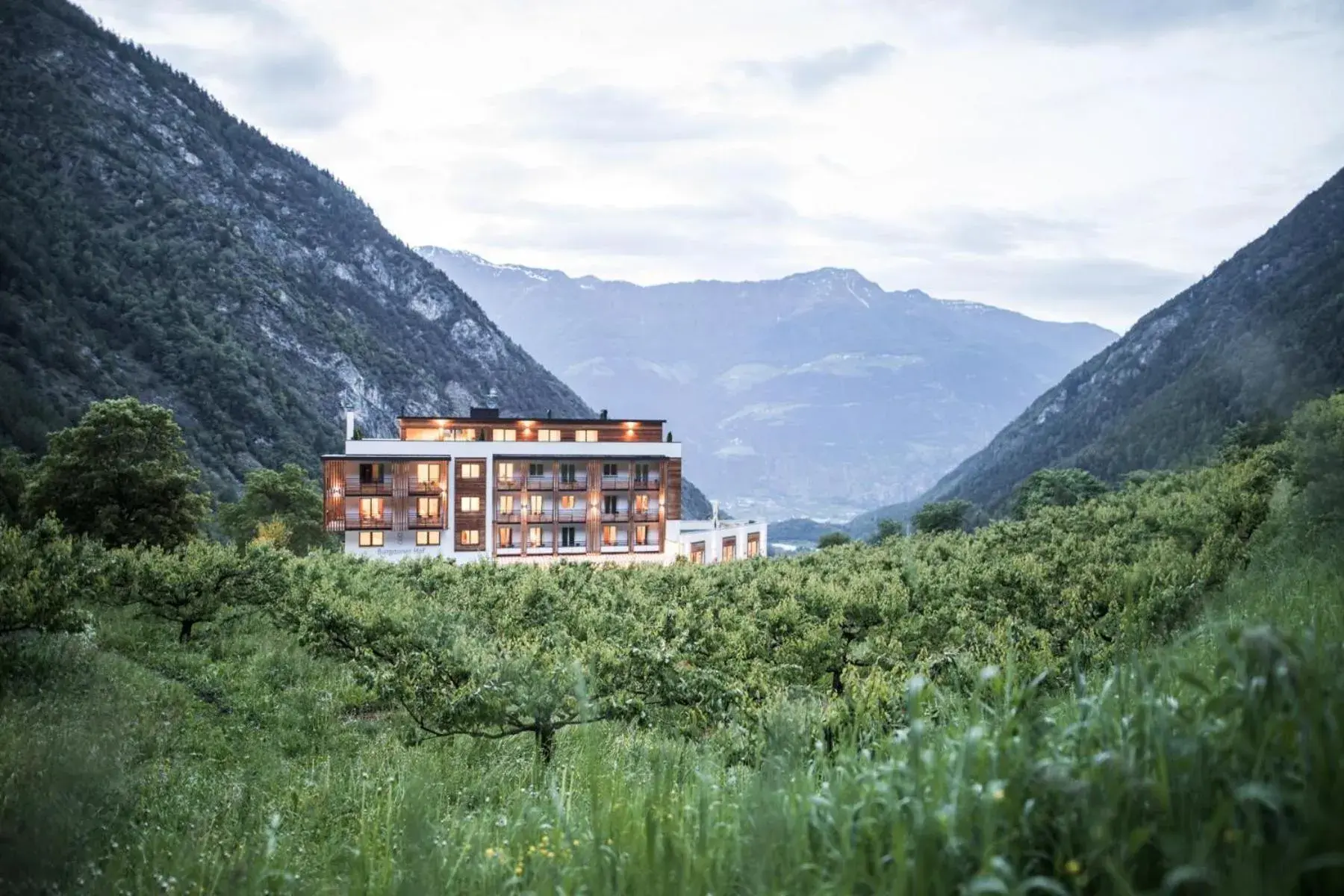 Hotel Burgaunerhof Hotel Burgaunerhof