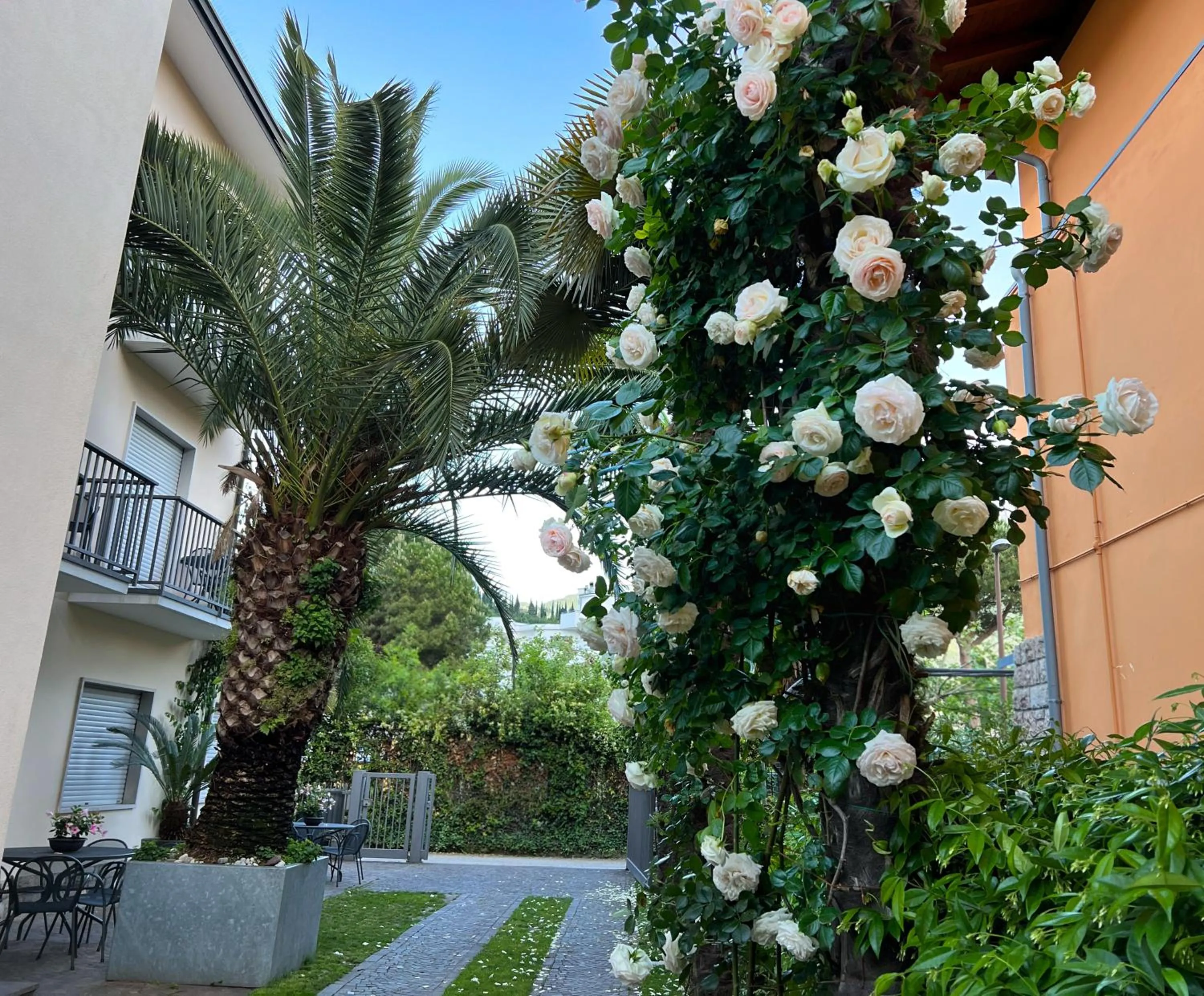 Garden in Villa Phoenix - Lake Apartments