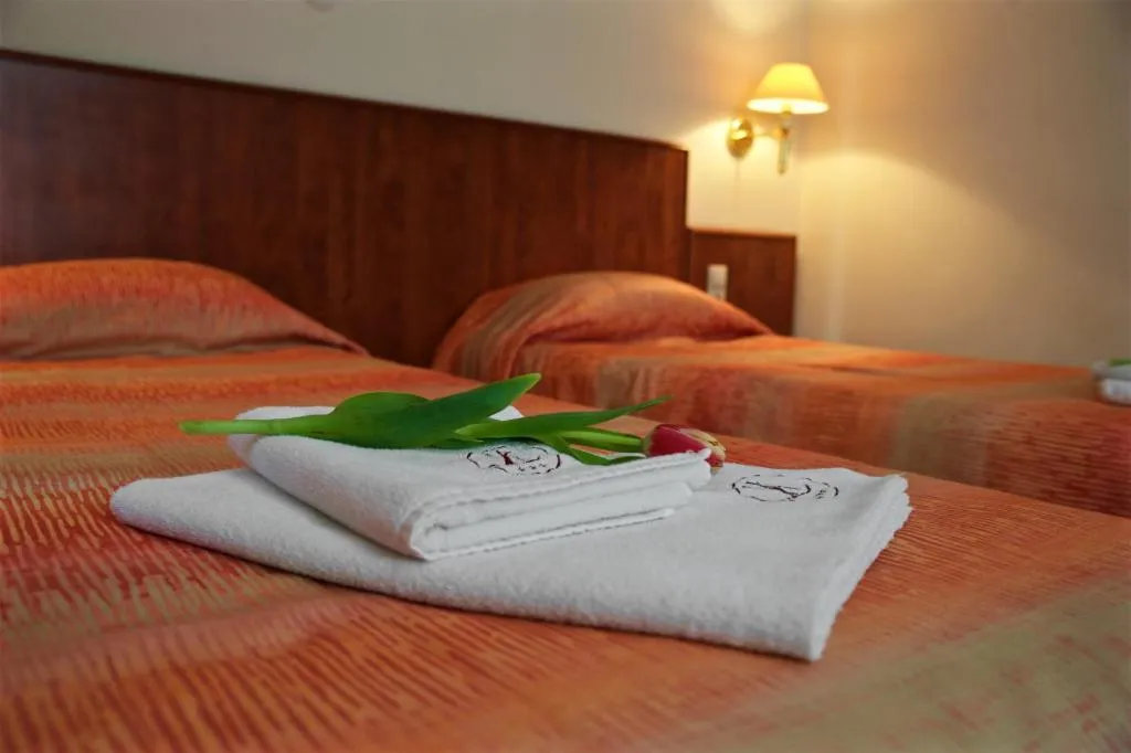 Photo of the whole room, Bed in Hotel Lukács Superior