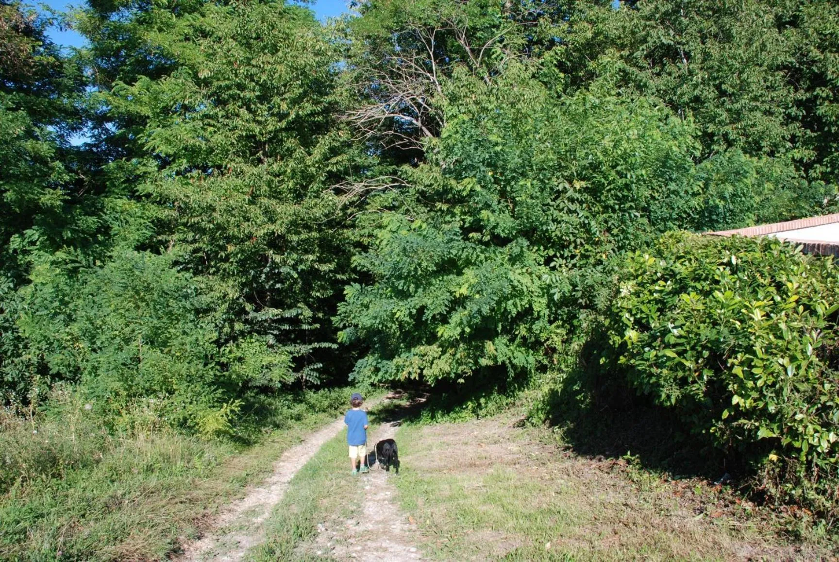 Hiking in la casa in collina
