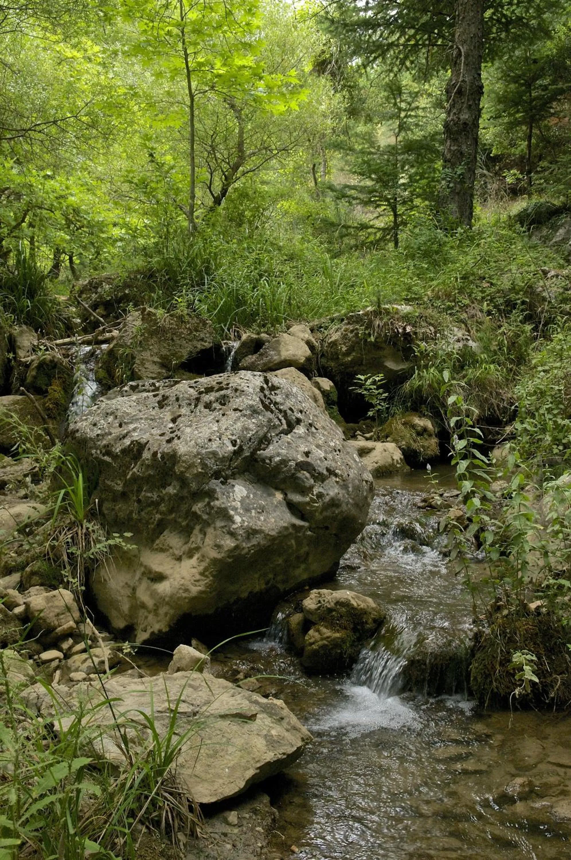 Aqua park in Pritanio