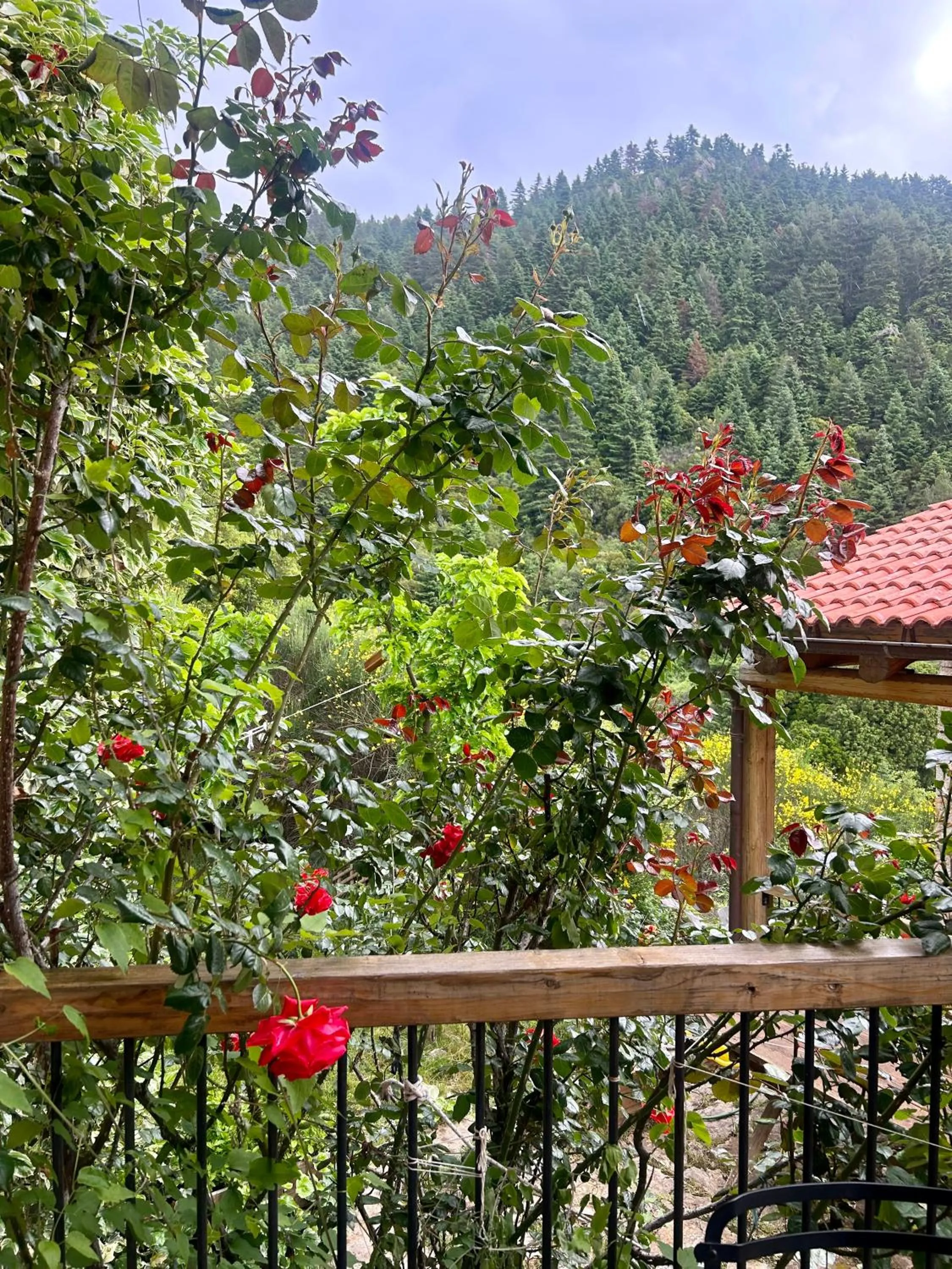 Natural landscape in Pritanio