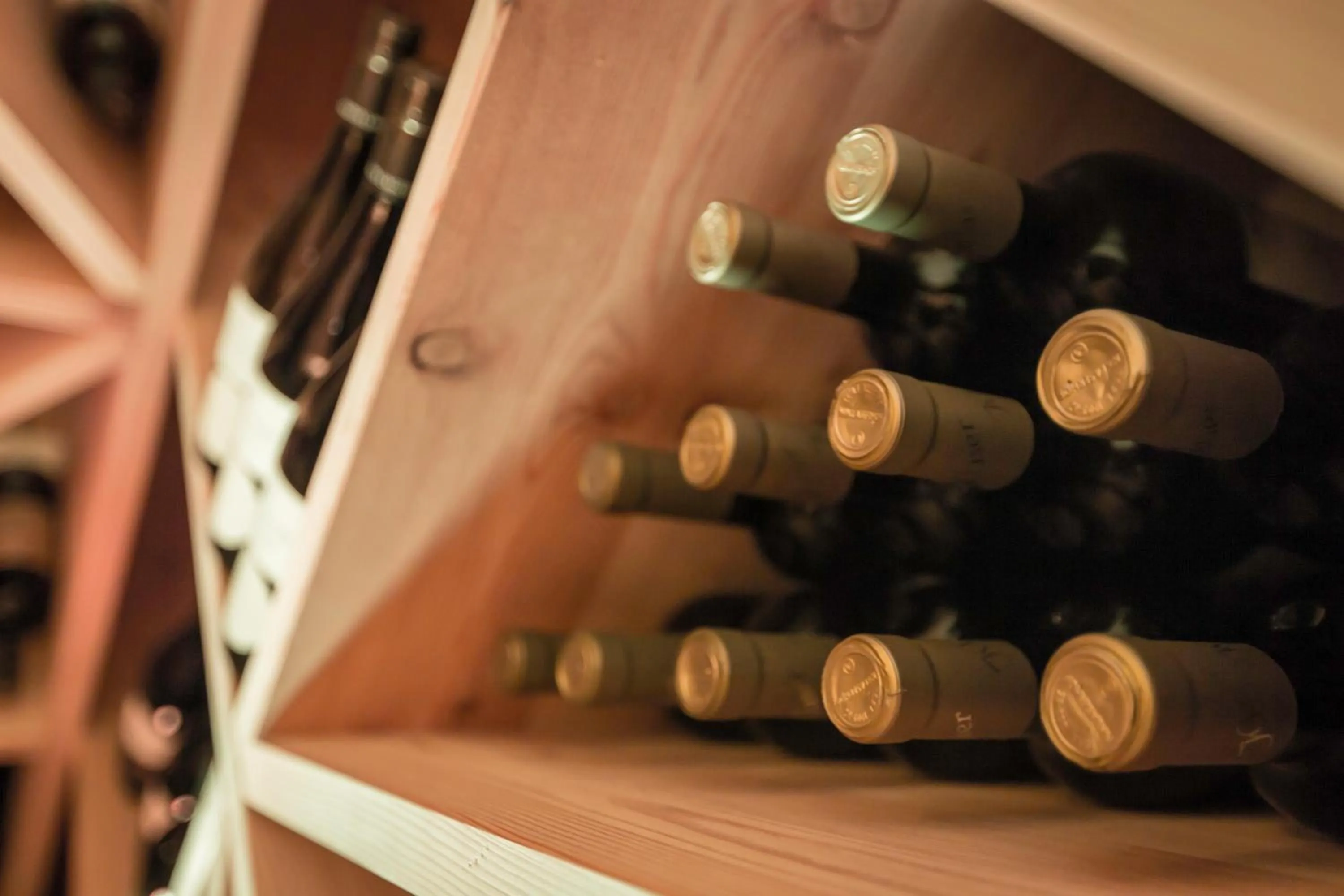 Banquet/Function facilities in Hotel Mareo Dolomites