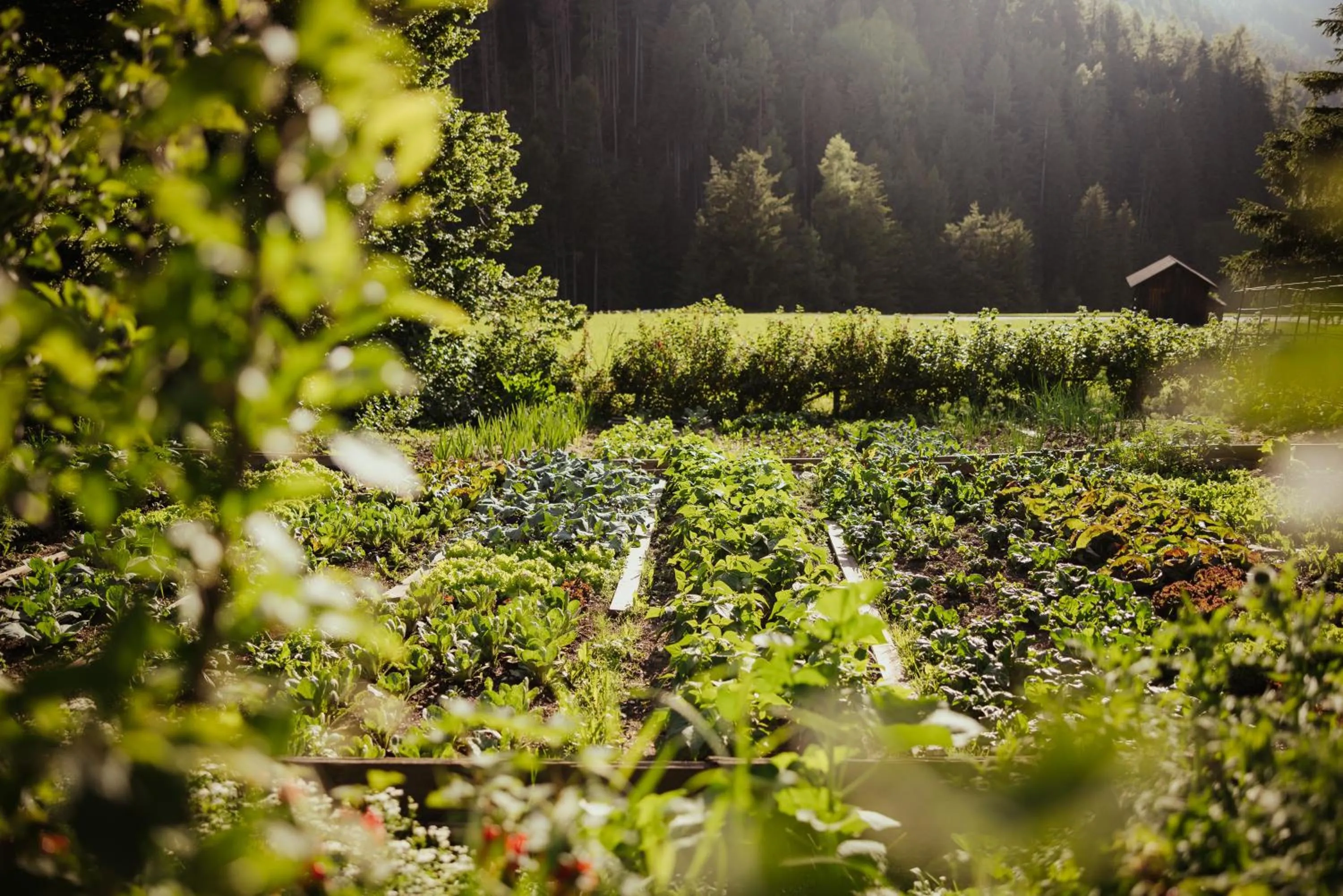 Day in Hotel Mareo Dolomites