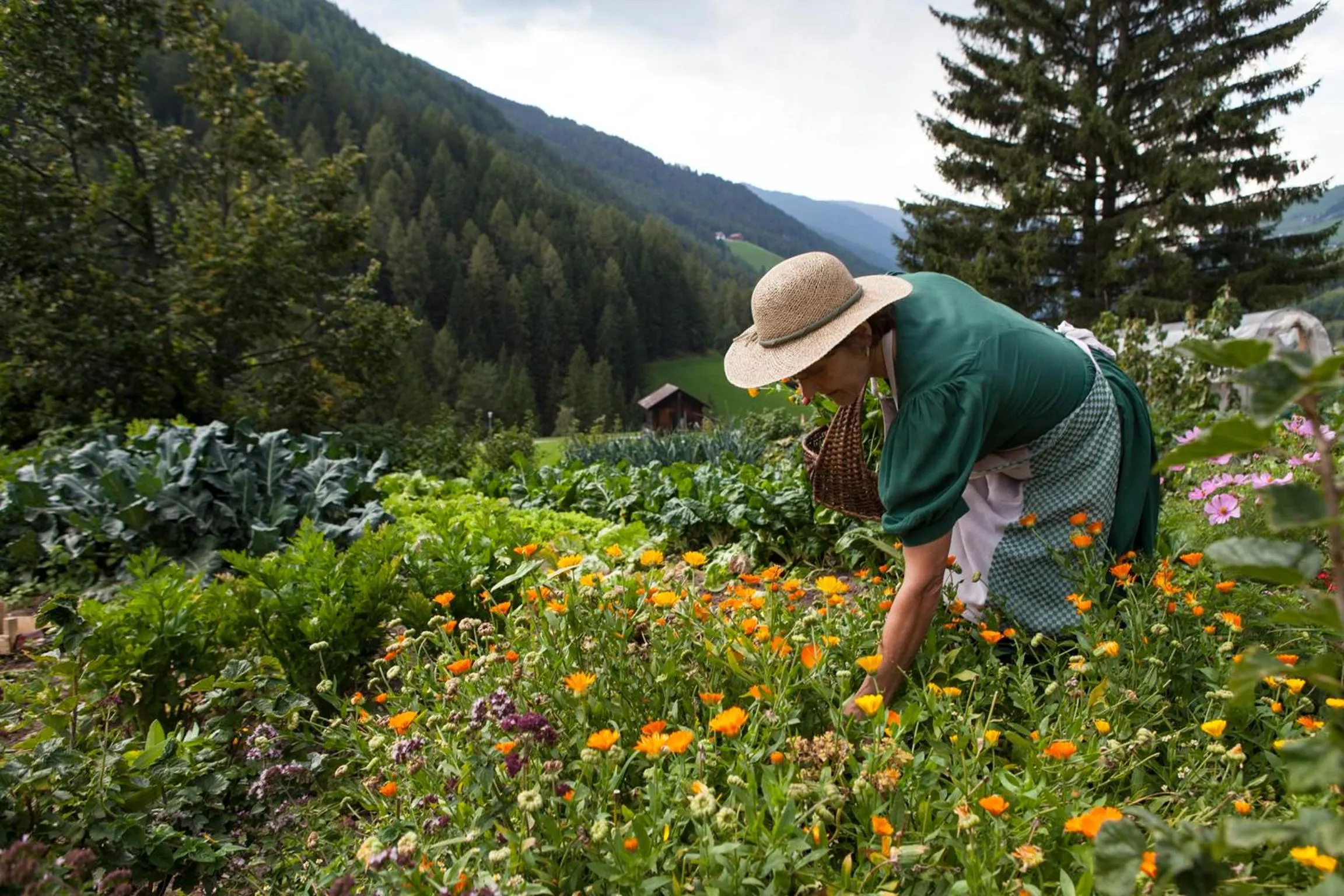 Garden in Hotel Mareo Dolomites