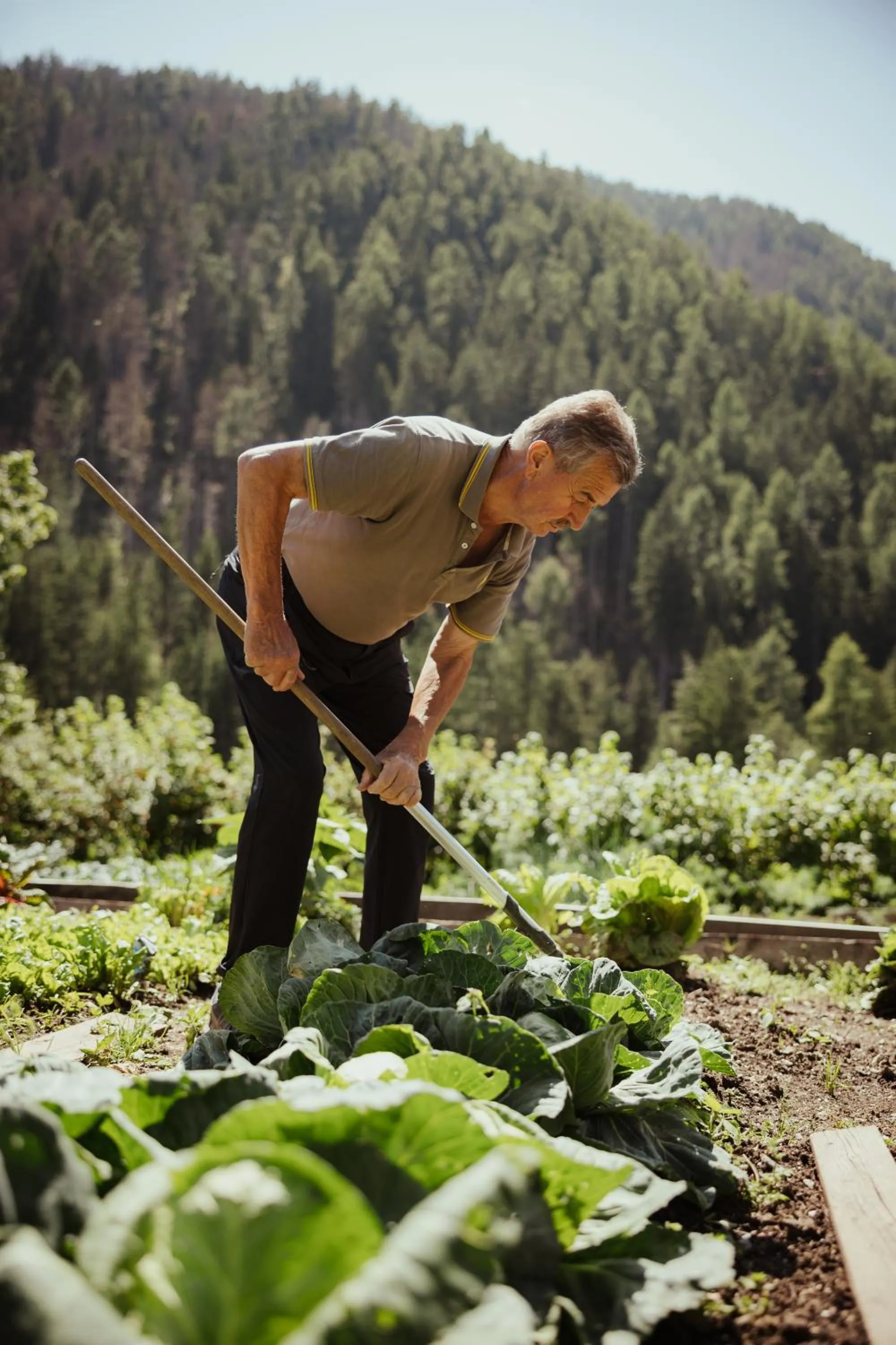 Day in Hotel Mareo Dolomites