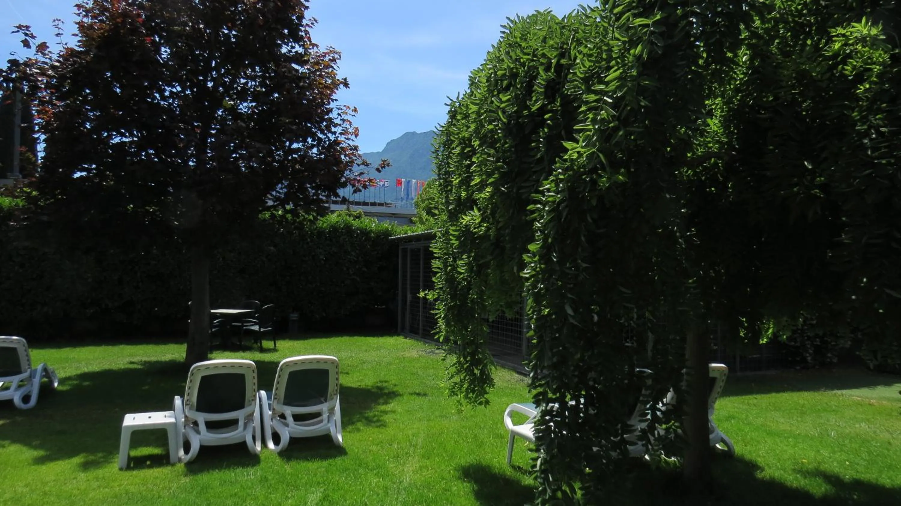 Garden in Hotel Villa Claudia