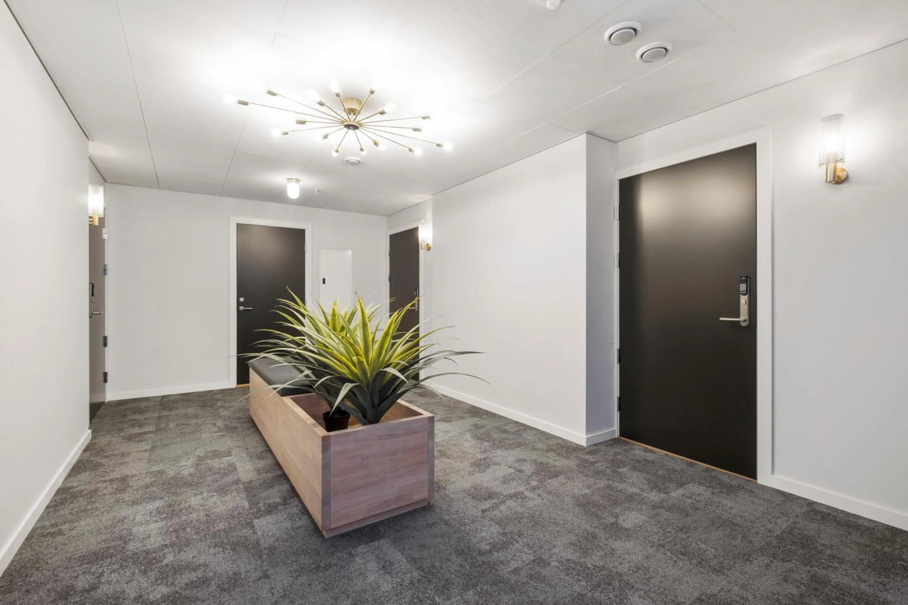 Facade/entrance in VANDER - Sea Story