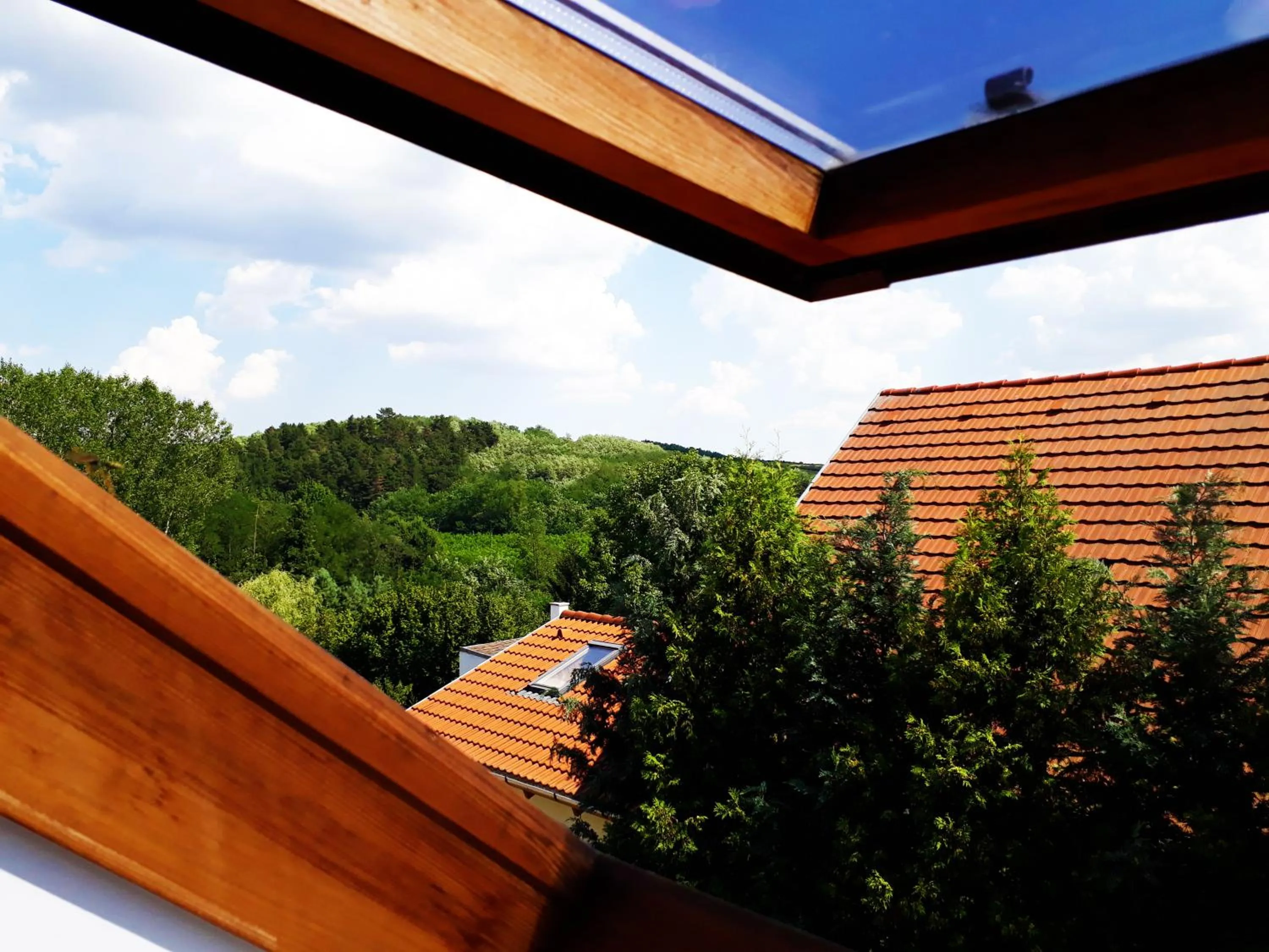 Hőforrás Wellness Vendégház