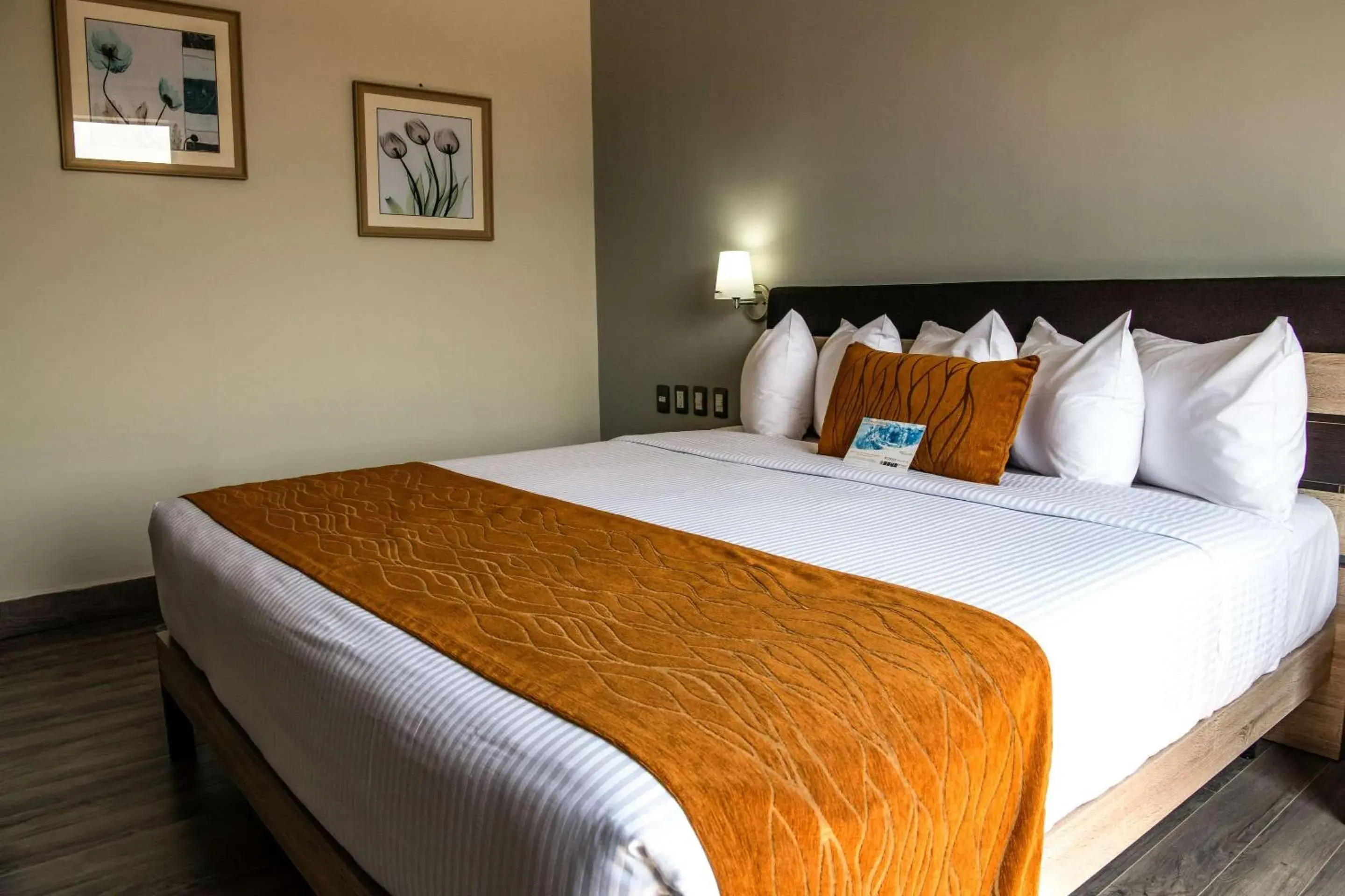 Photo of the whole room, Bed in Comfort Inn Irapuato Photo of the whole room, Bed in Comfort Inn Irapuato