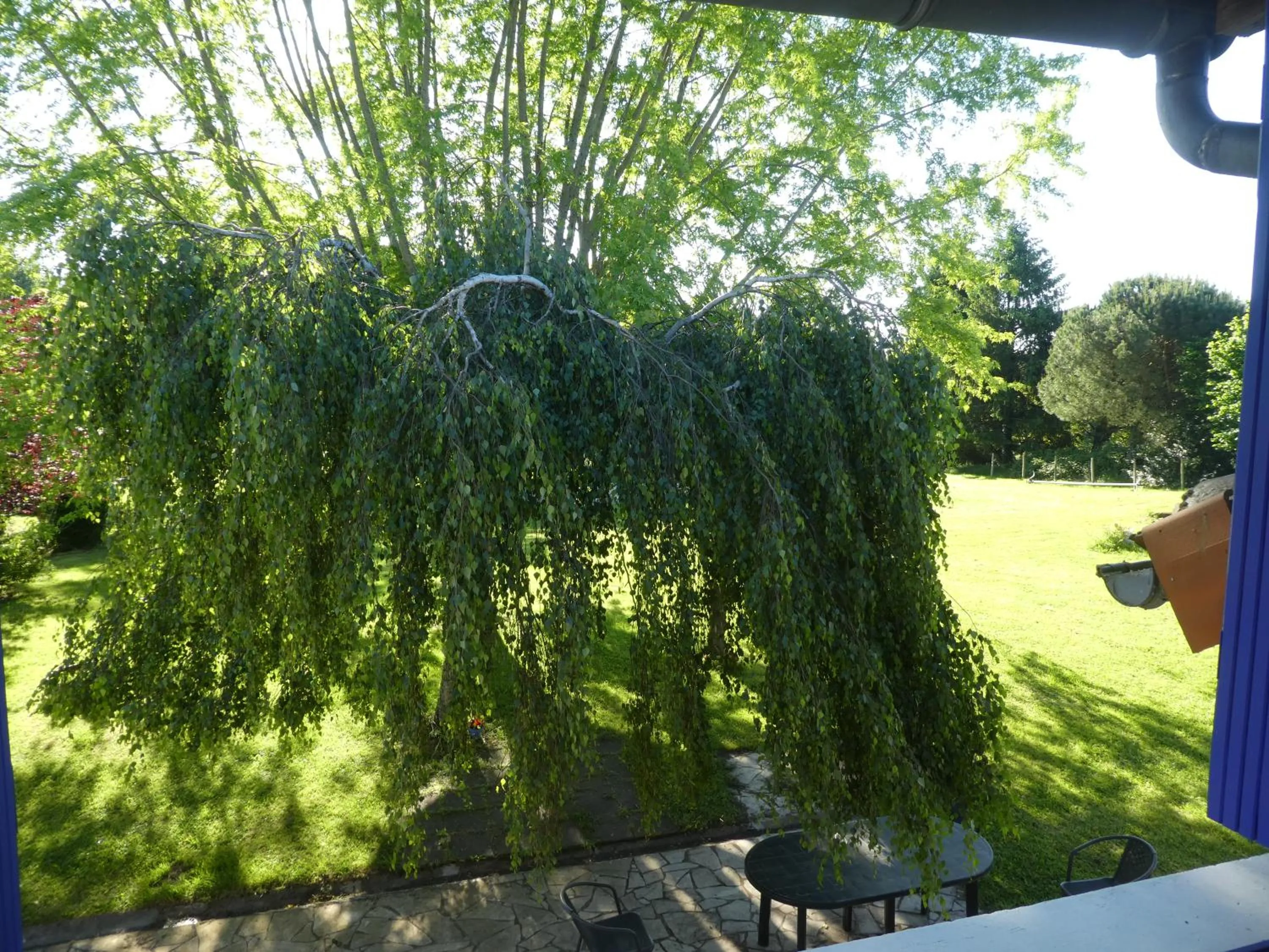 Spring in Les chambres du Ladoux