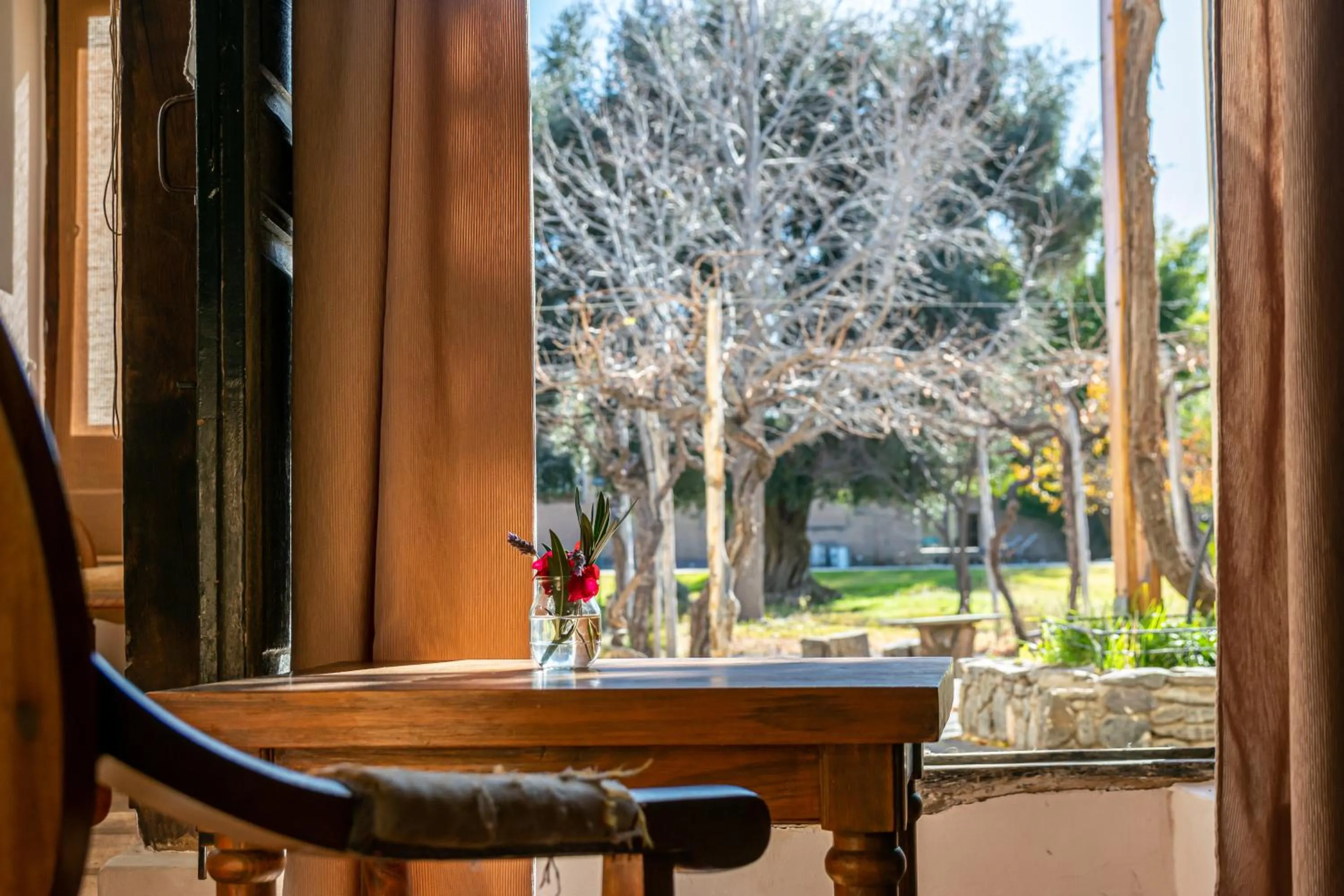 Garden view in Vieja Posada Hotel Histórico