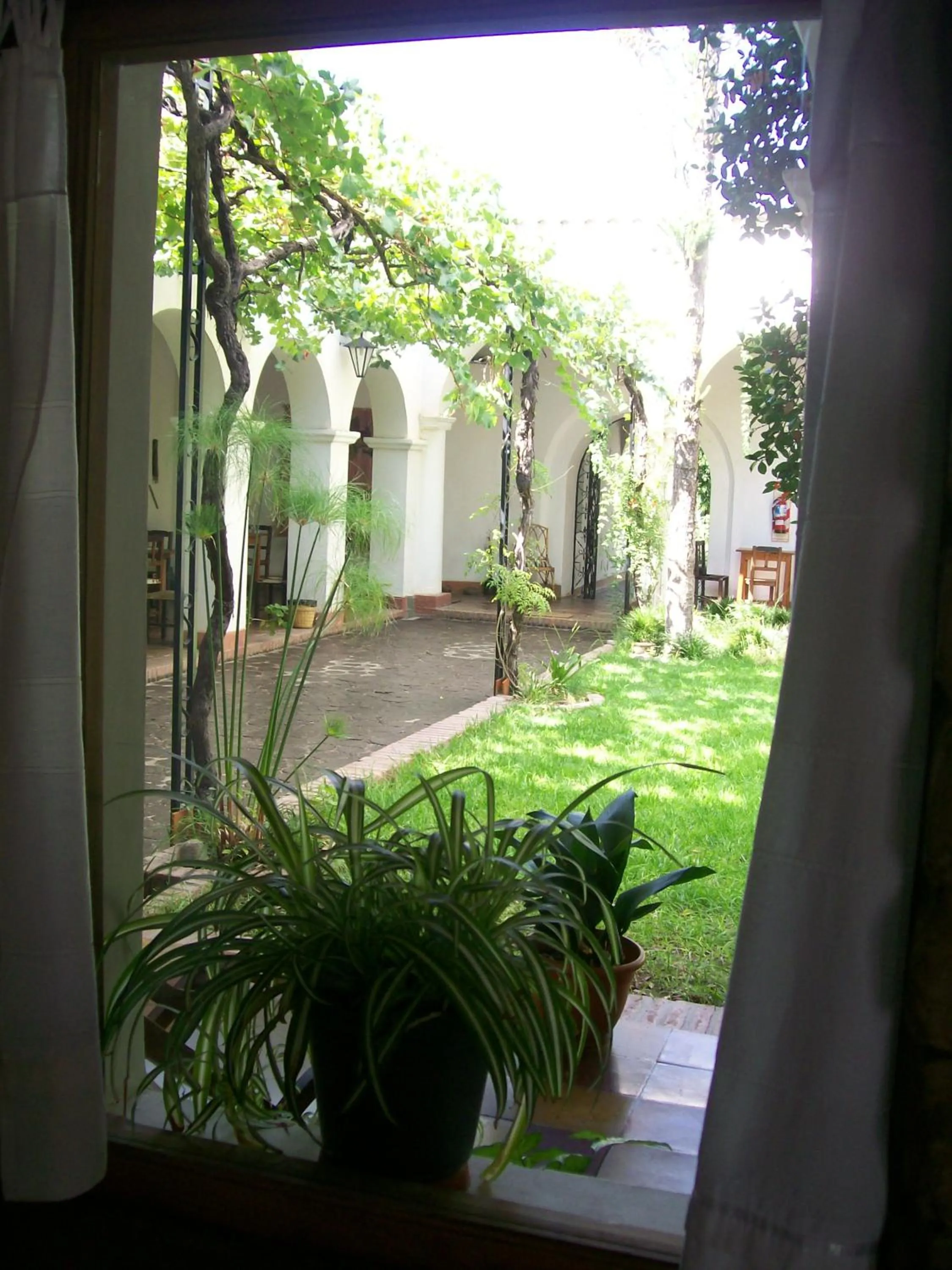 Garden in Vieja Posada Hotel Histórico