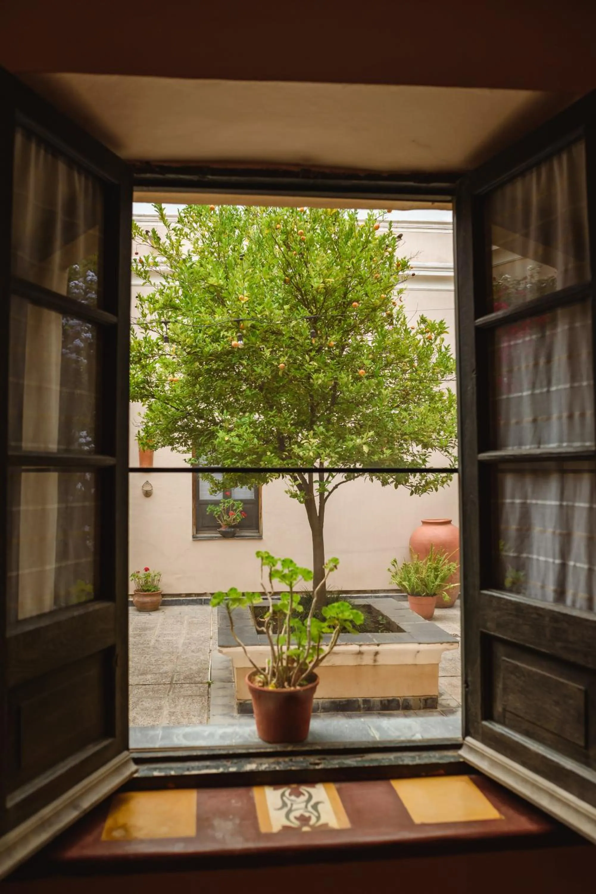 Garden view in Vieja Posada Hotel Histórico