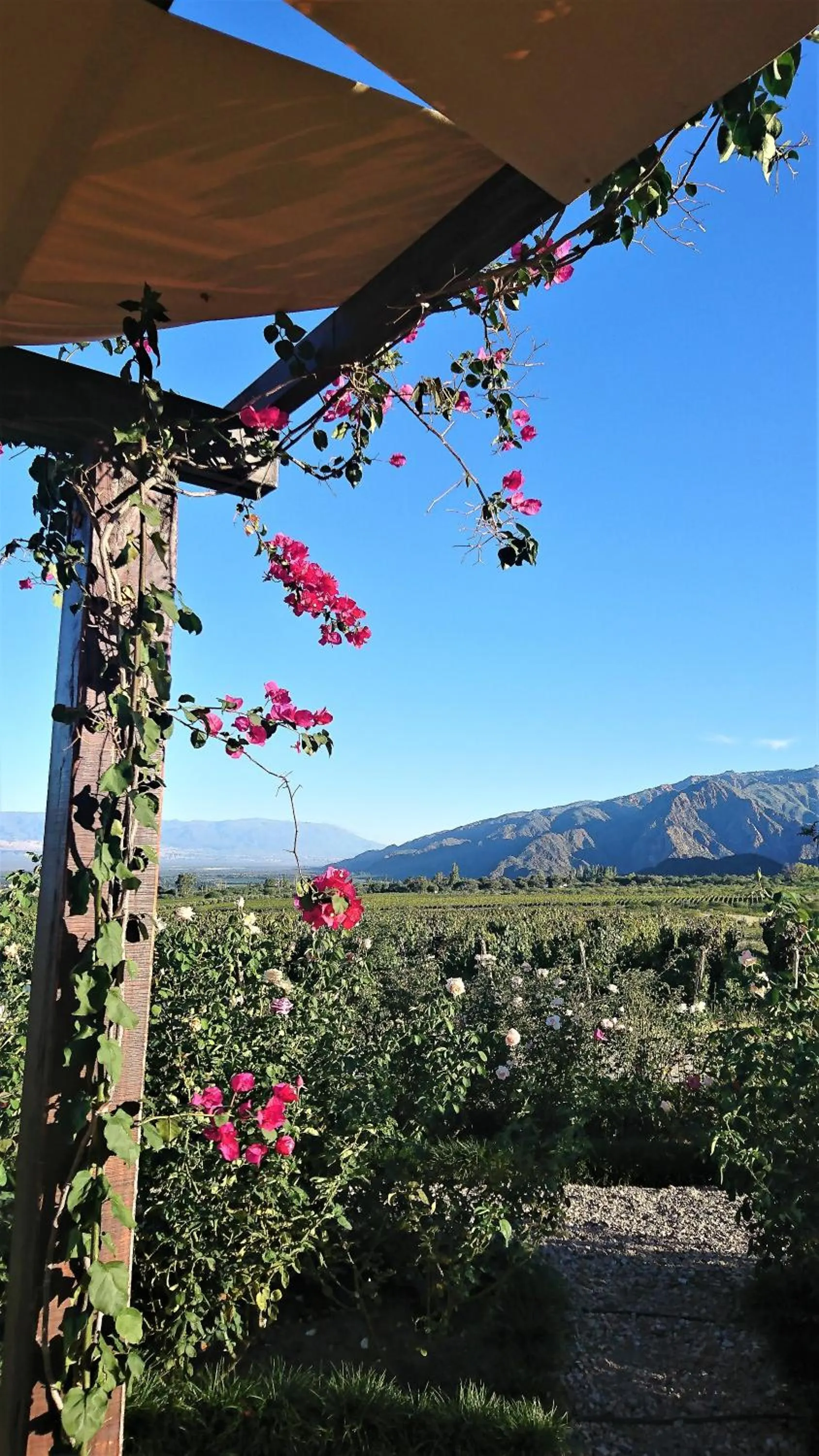 Natural landscape in Vieja Posada Hotel Histórico
