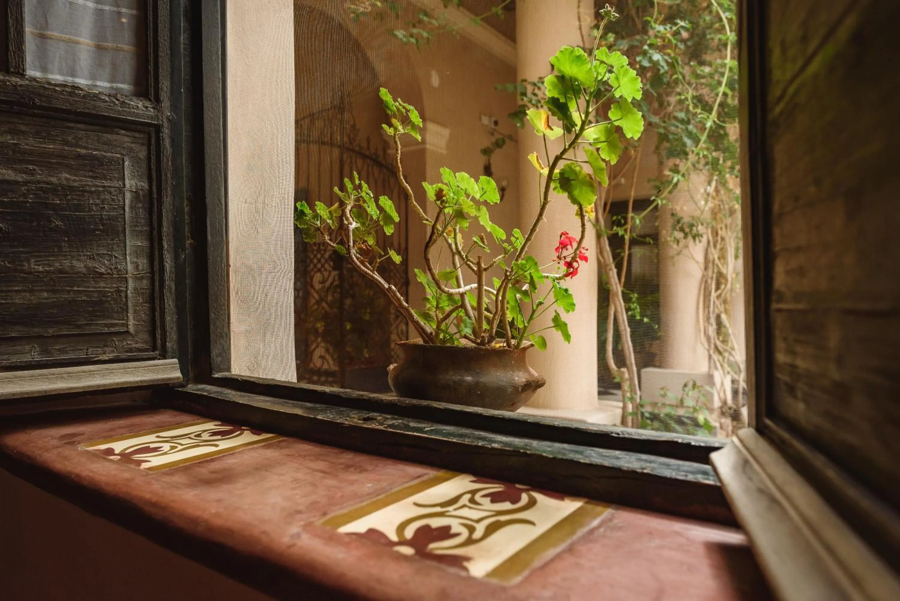 Garden view in Vieja Posada Hotel Histórico