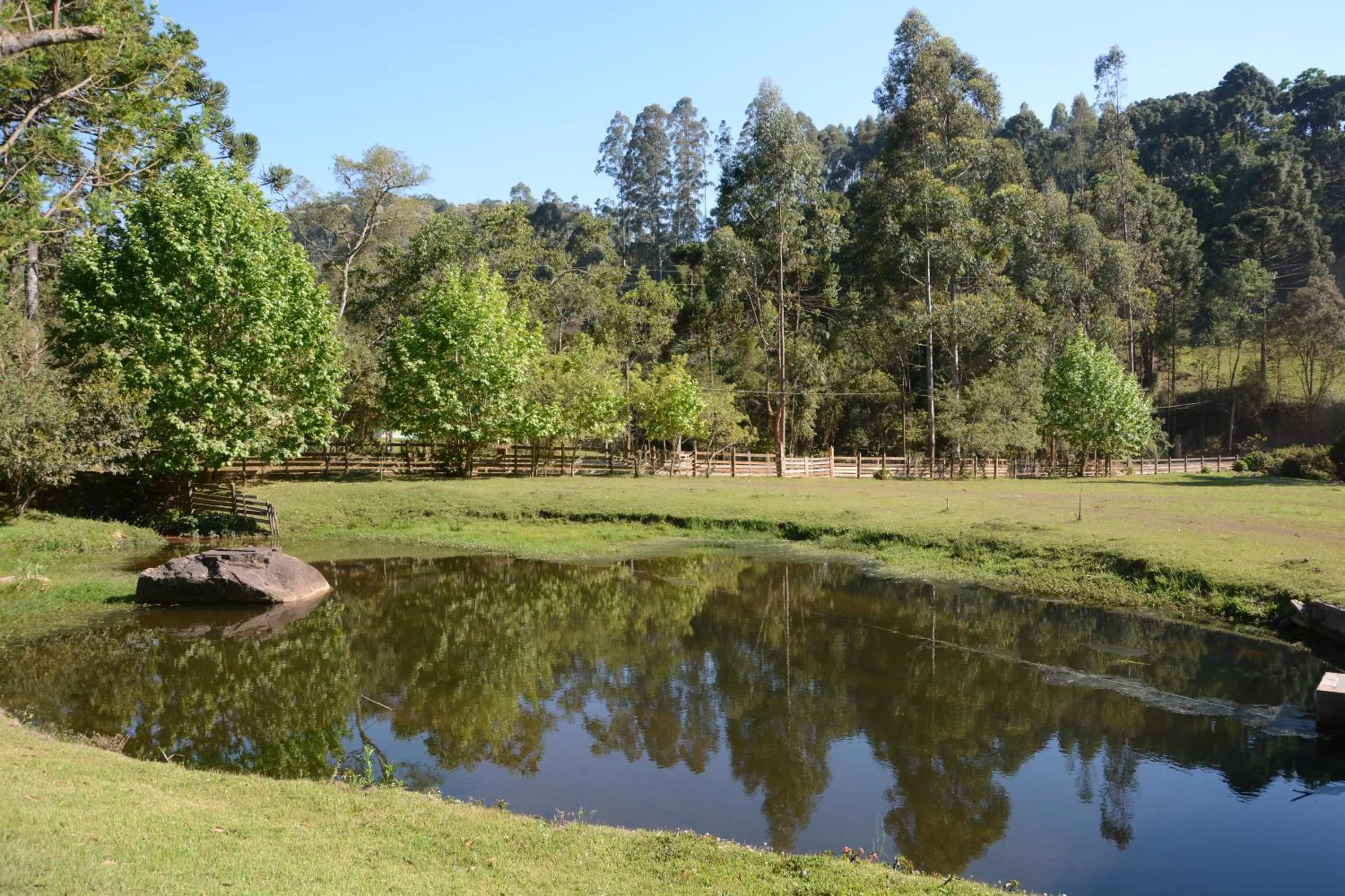 Natural landscape in Pousada Vida Verde
