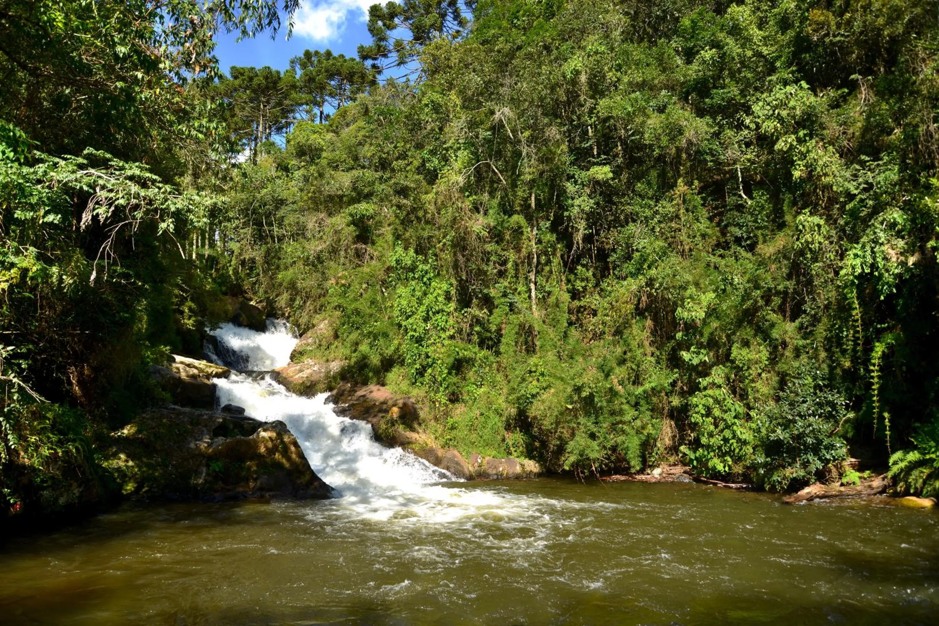 Entertainment in Pousada Vida Verde