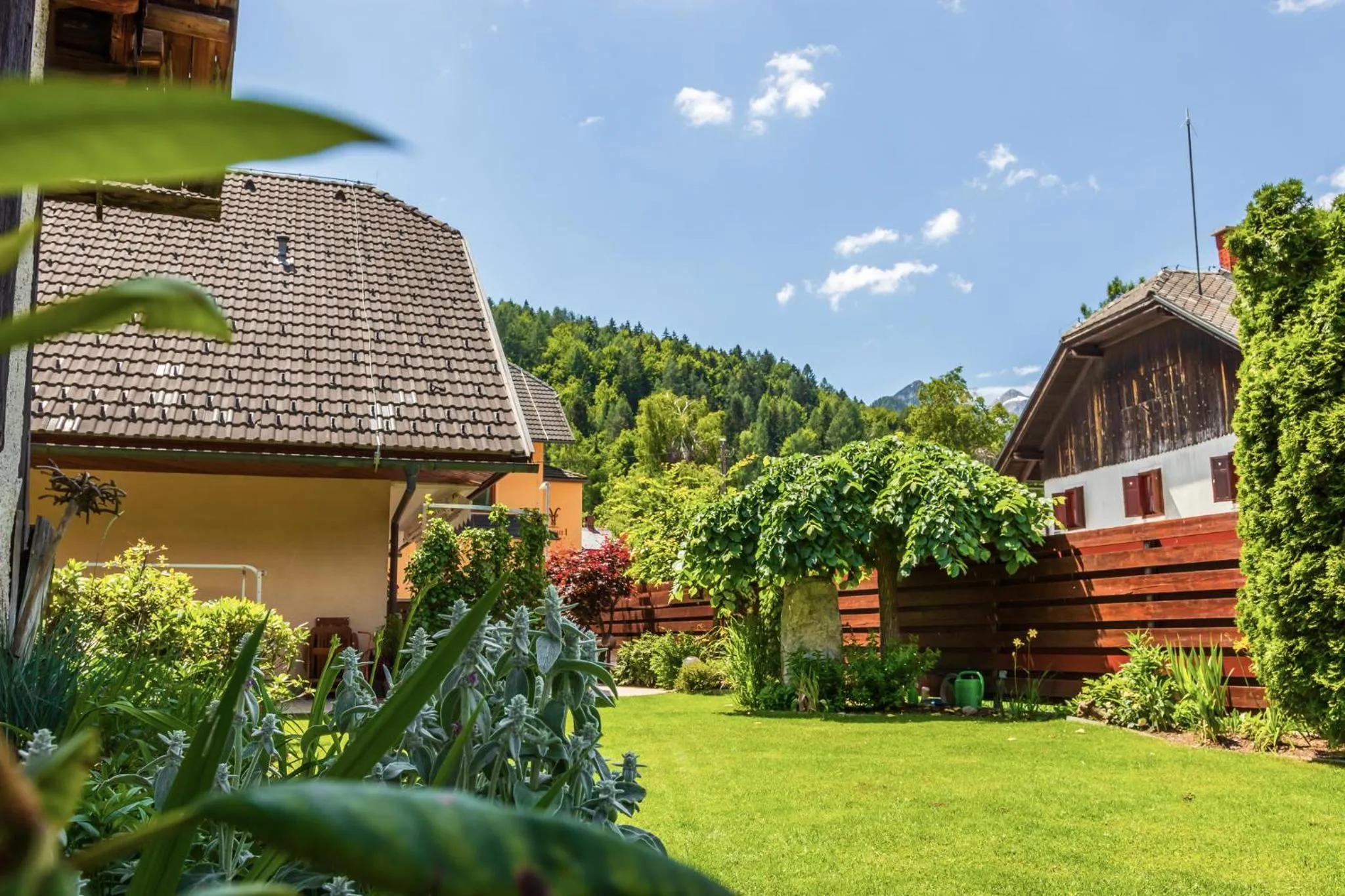 Garden in Villa Nena