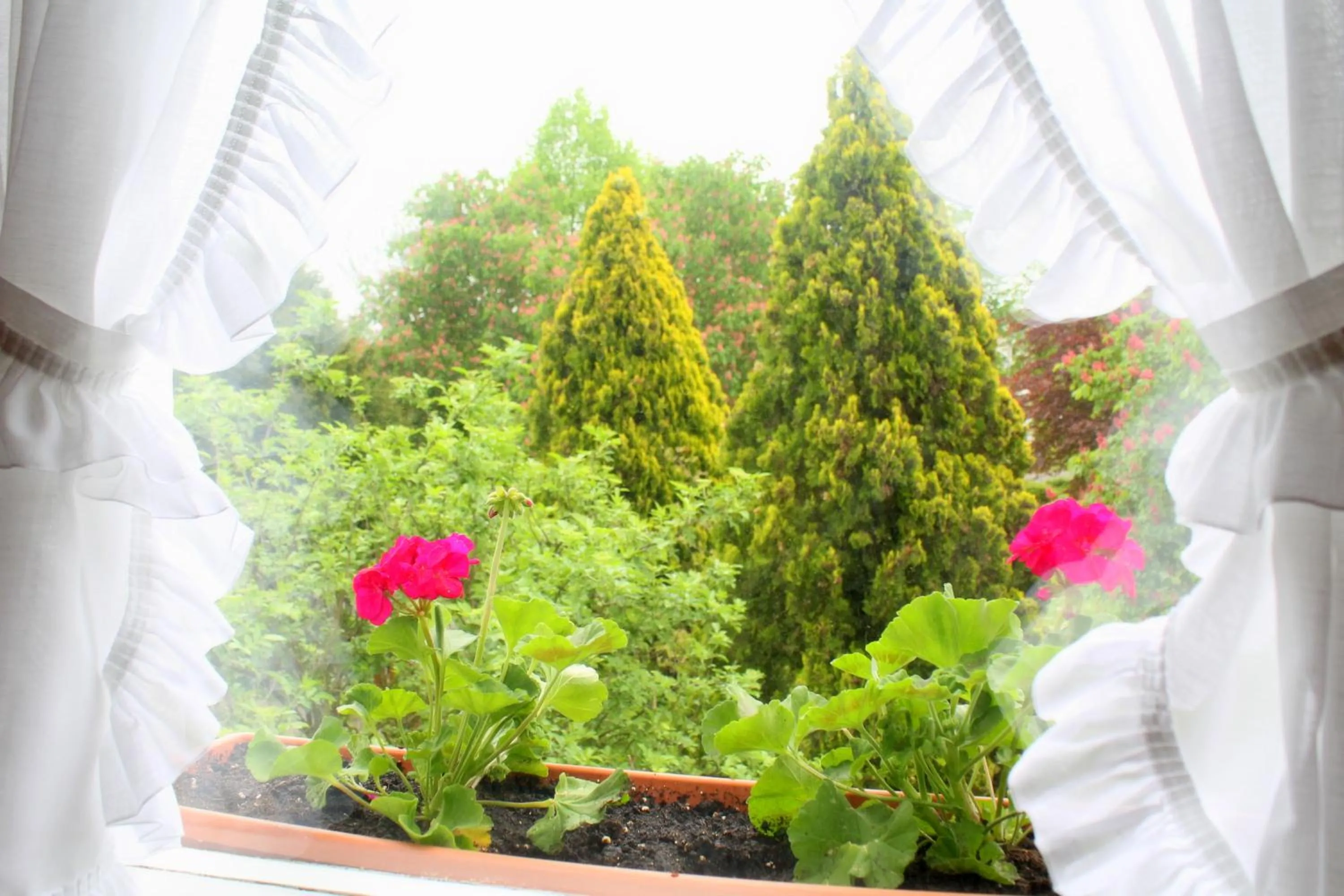 Garden view in Hotel Bezold