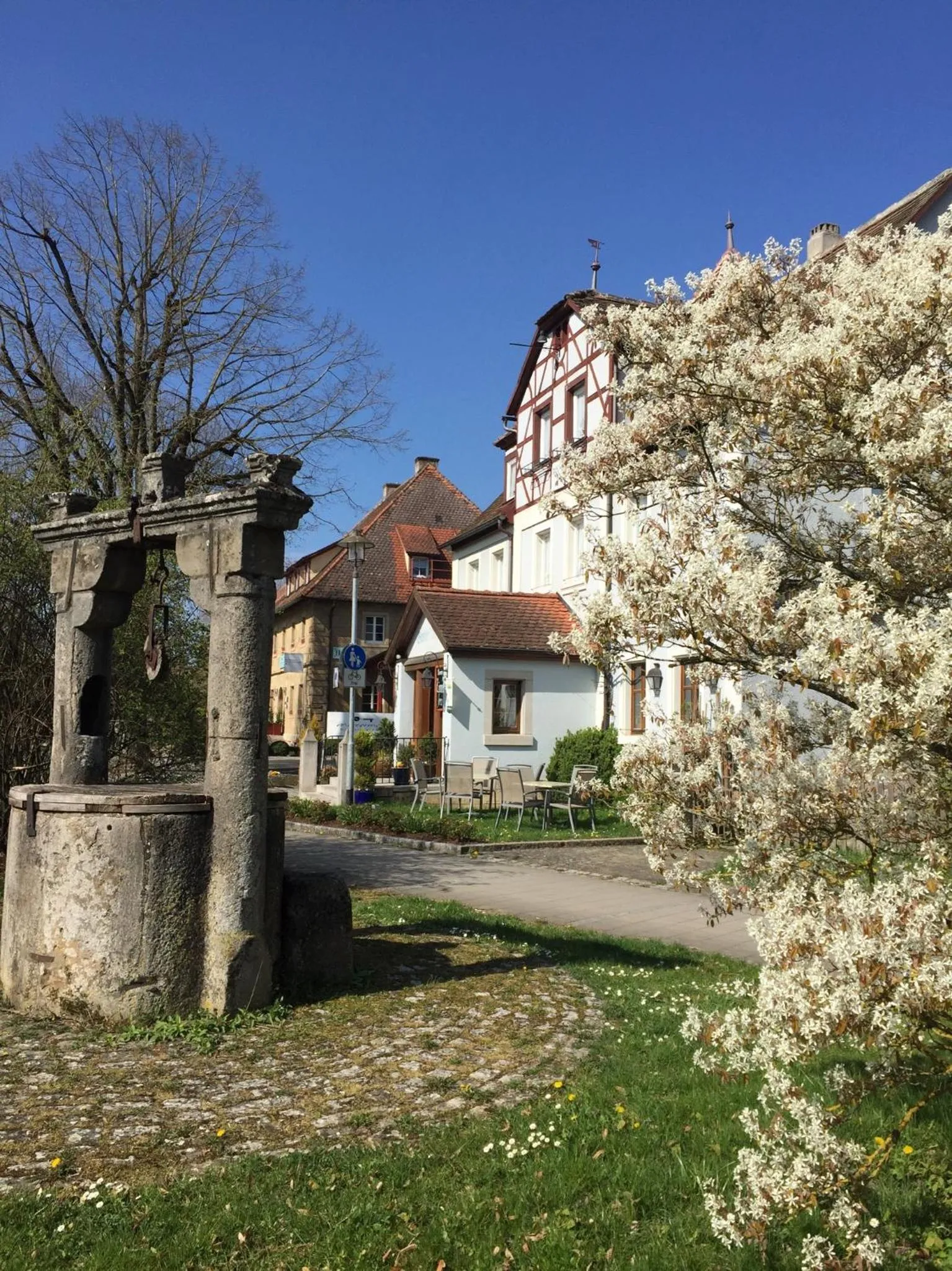 Garden in Hotel Bezold