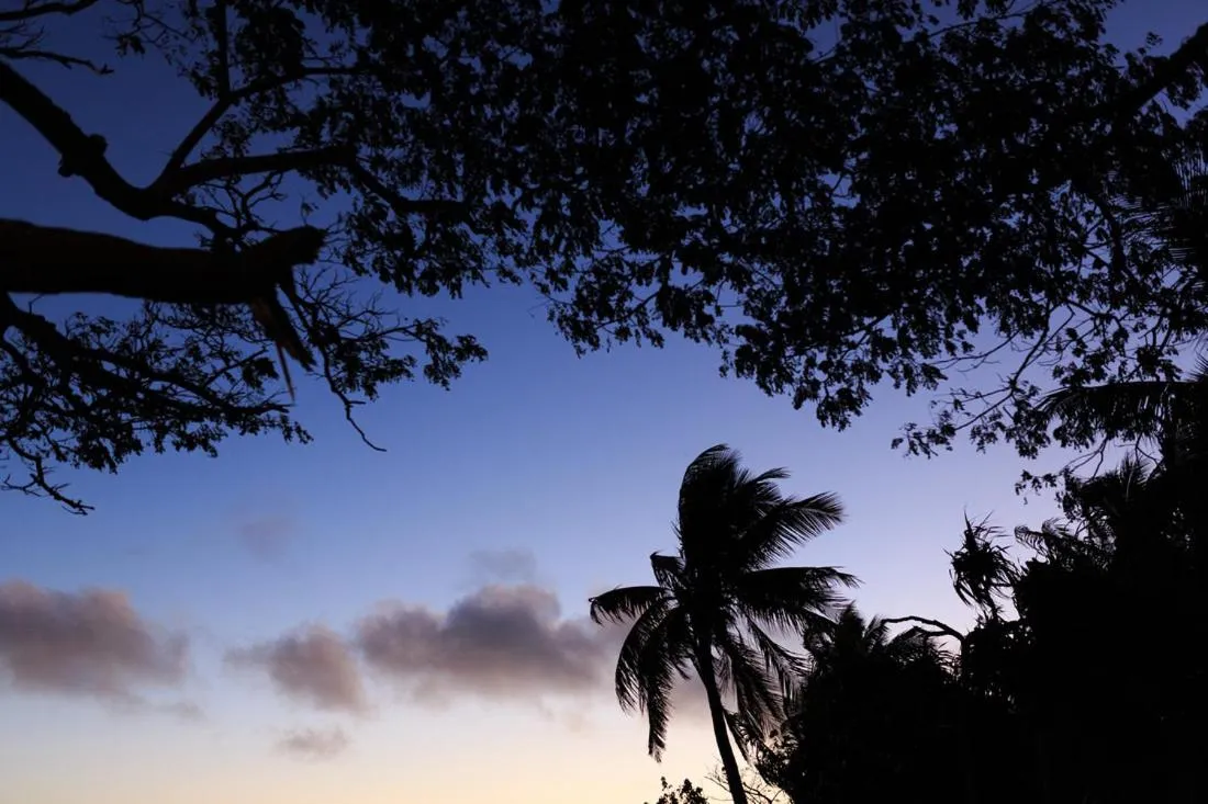 Other in Funky Fish Beach & Surf Resort