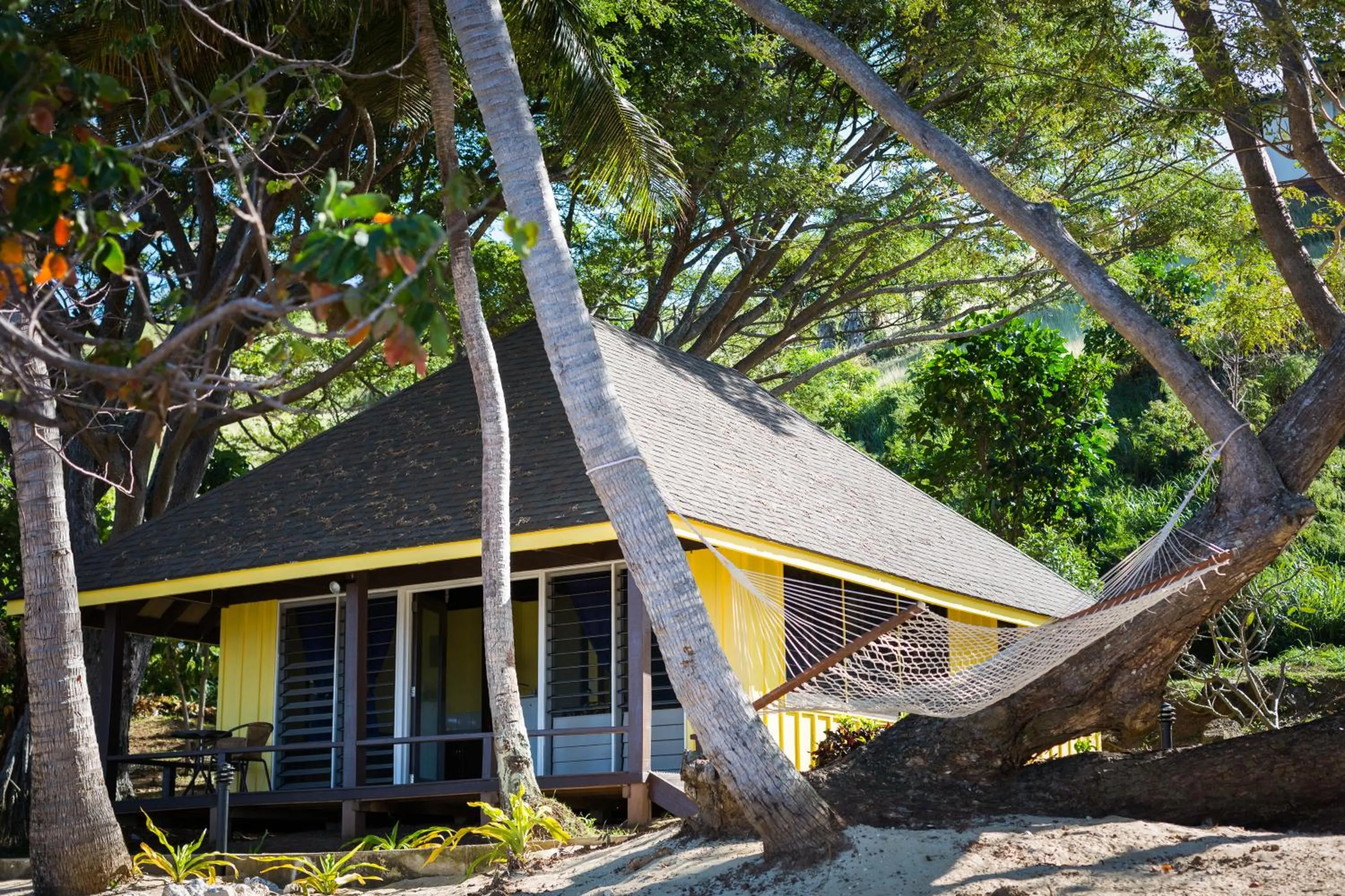 Bed in Funky Fish Beach & Surf Resort