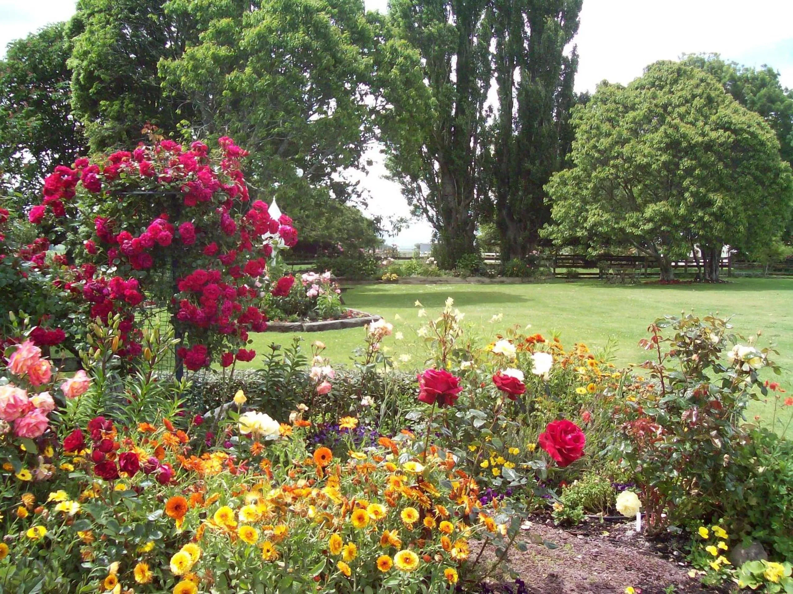 Garden in Tower Road Motel